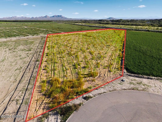 3600 VALLE VERDE CT, LAS CRUCES, NM 88007 - Image 7e2b500ff2d11737a4737e66c0bb94a9/4173787646