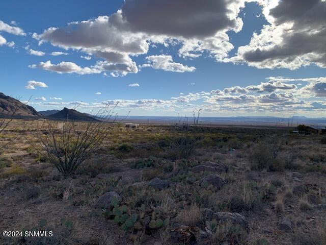 773 Pena Blanca Loop, Las Cruces, New Mexico image 2