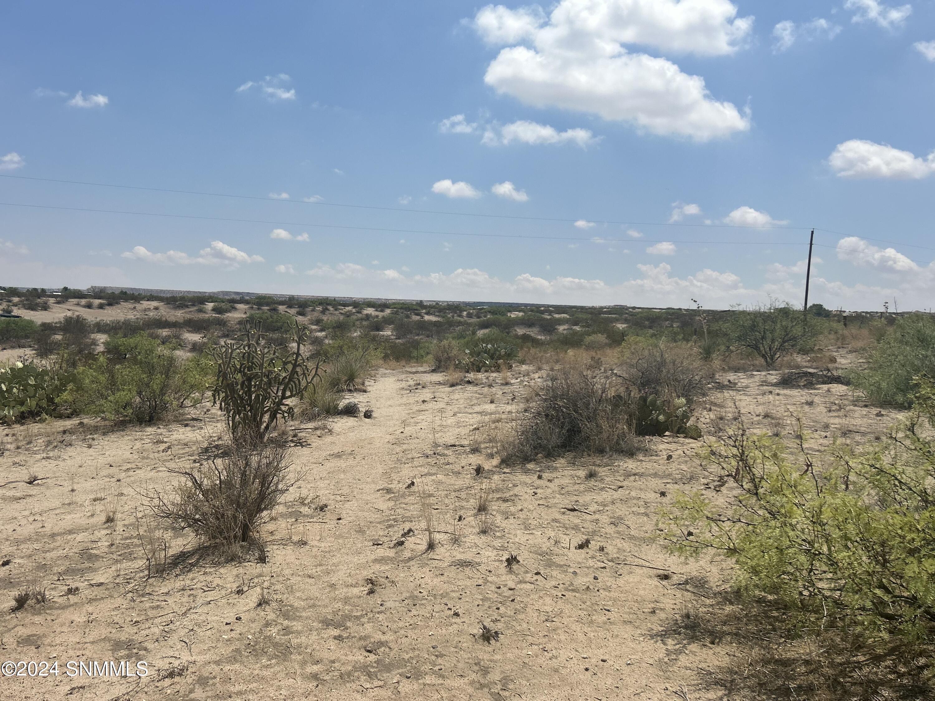 460 Sandy Creek Road, Anthony, New Mexico image 16