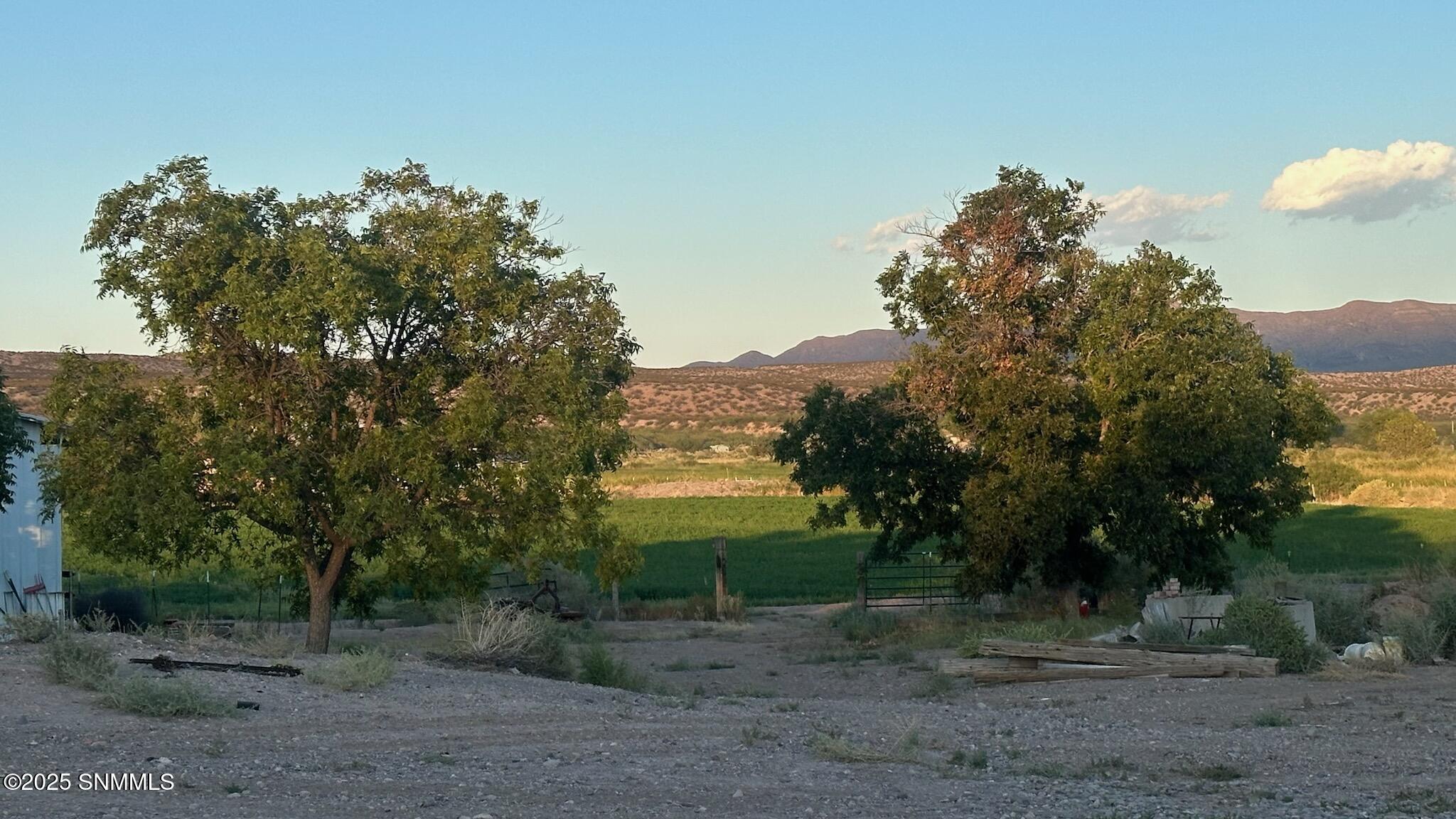231 Las Palomas Cyn Road, Williamsburg, New Mexico image 6