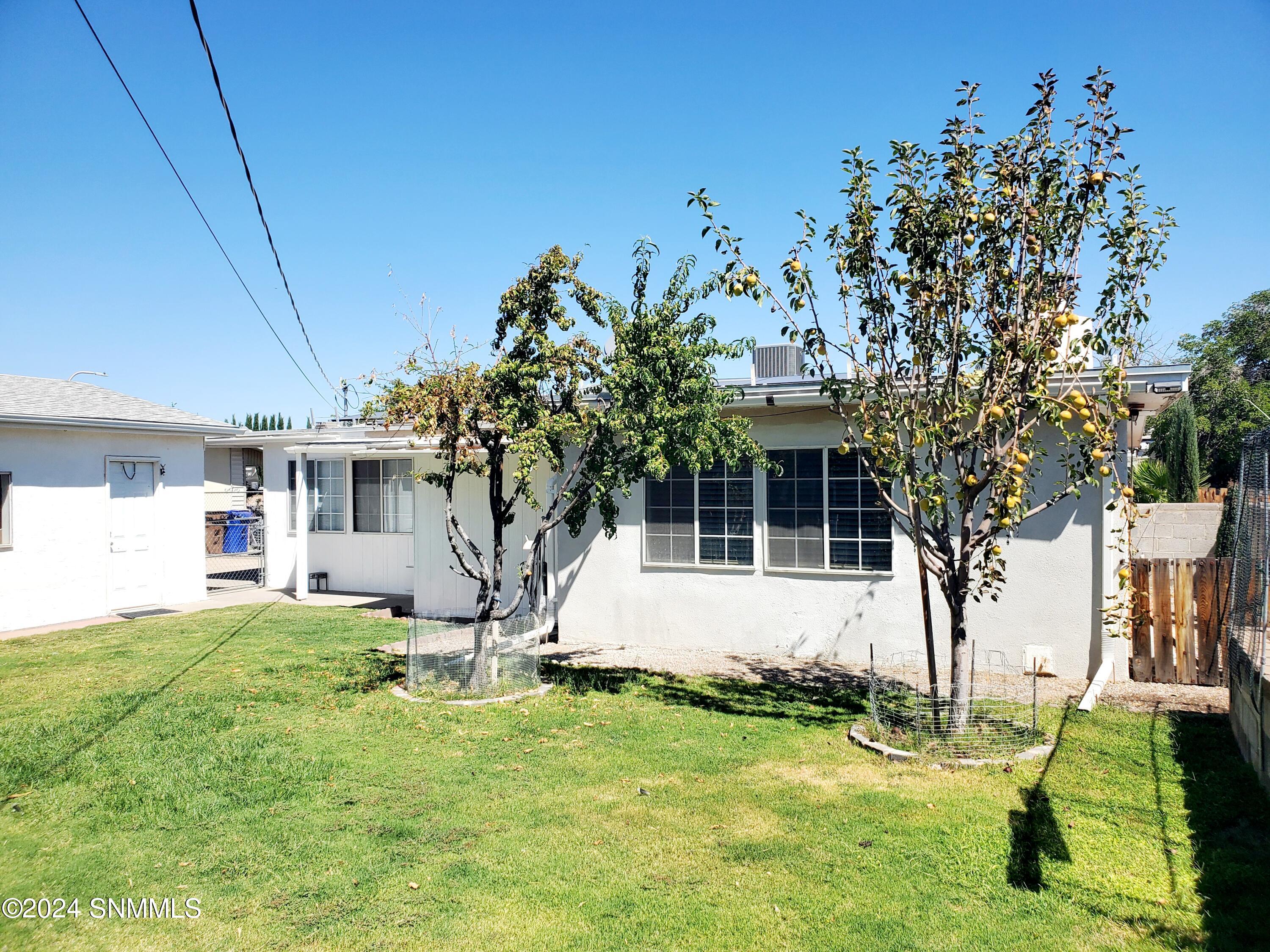 1907 Evelyn Street, Las Cruces, New Mexico image 38