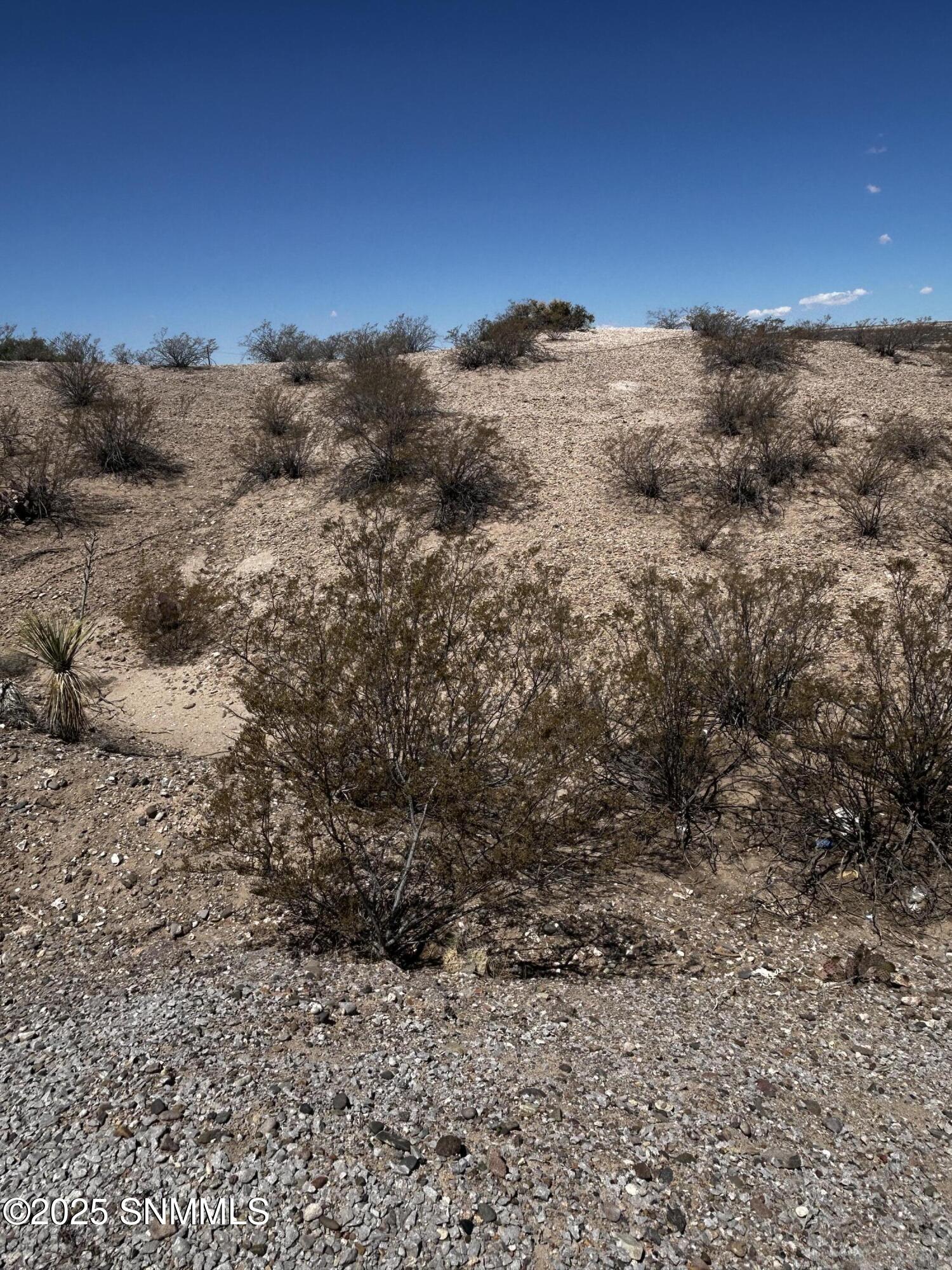 6141 Desert Valley Court, Las Cruces, New Mexico image 9