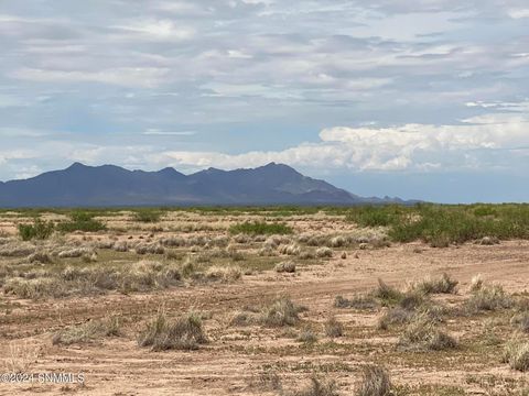 Vacant Land For Sale - TBD Tbd<br/> Columbus, NM 88029