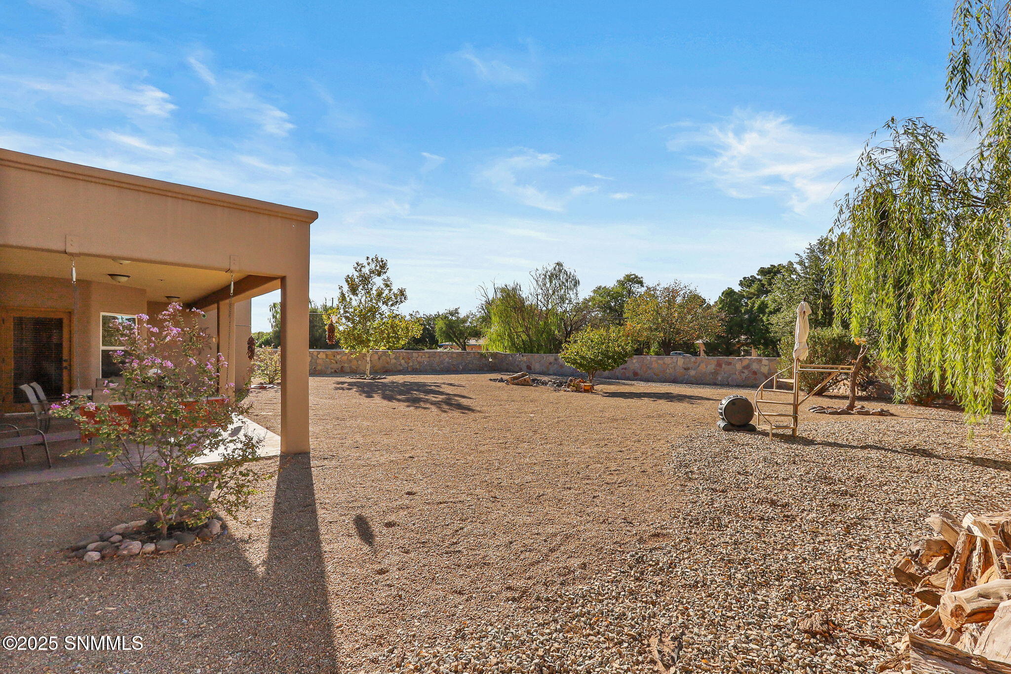 1322 Santanova Arc, Las Cruces, New Mexico image 44