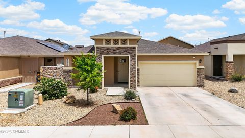 Homes For Sale - 4222 Desert Bloom Drive<br/> Dona Ana County, Las Cruces, NM 88007