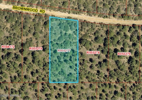Vacant Land For Sale - 68 Brownwood Road<br/> Timberon, NM 88350