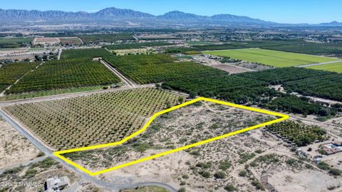 Vacant Land For Sale - 230 Sandy Creek Road<br/> Anthony, NM 88021