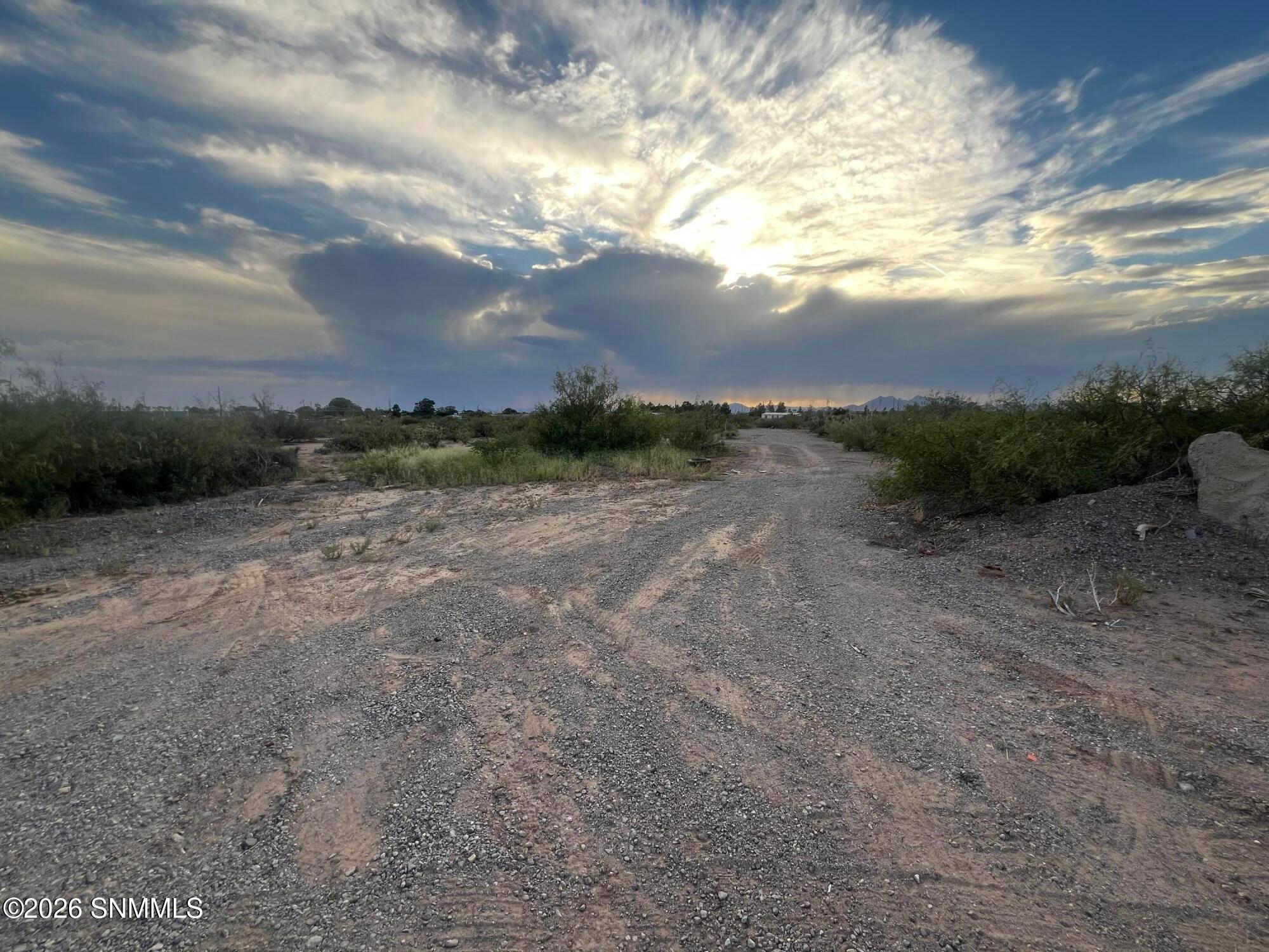 9200 Higgins Lane - Photo 4