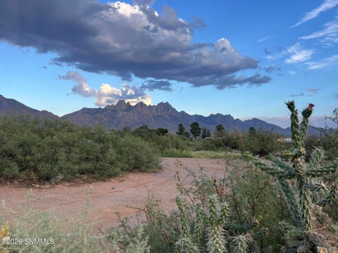 Vacant Land For Sale - 9200 Higgins Lane<br/> Las Cruces, NM 88011