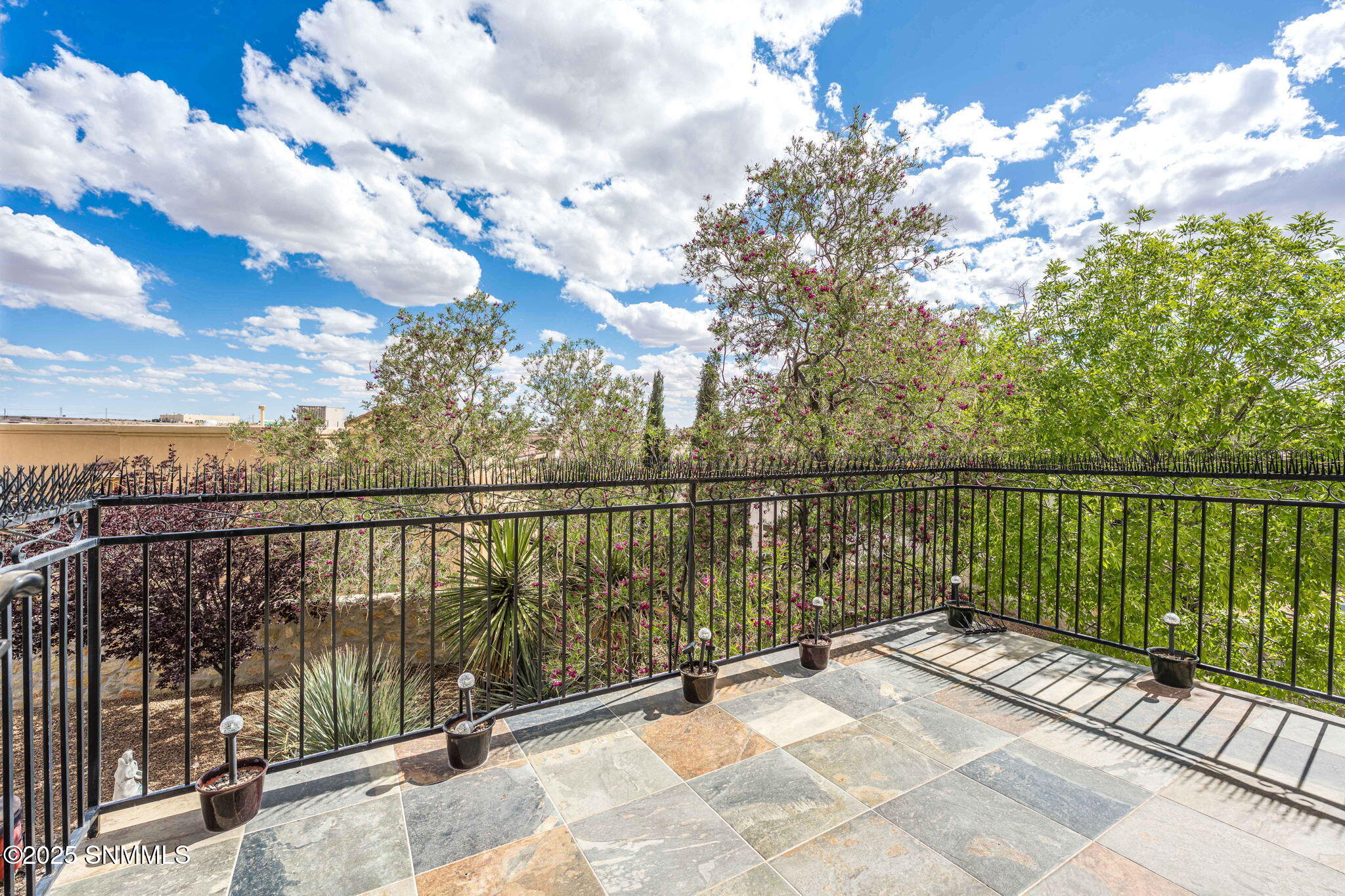 3710 Piedras Negras Drive, Las Cruces, New Mexico image 43