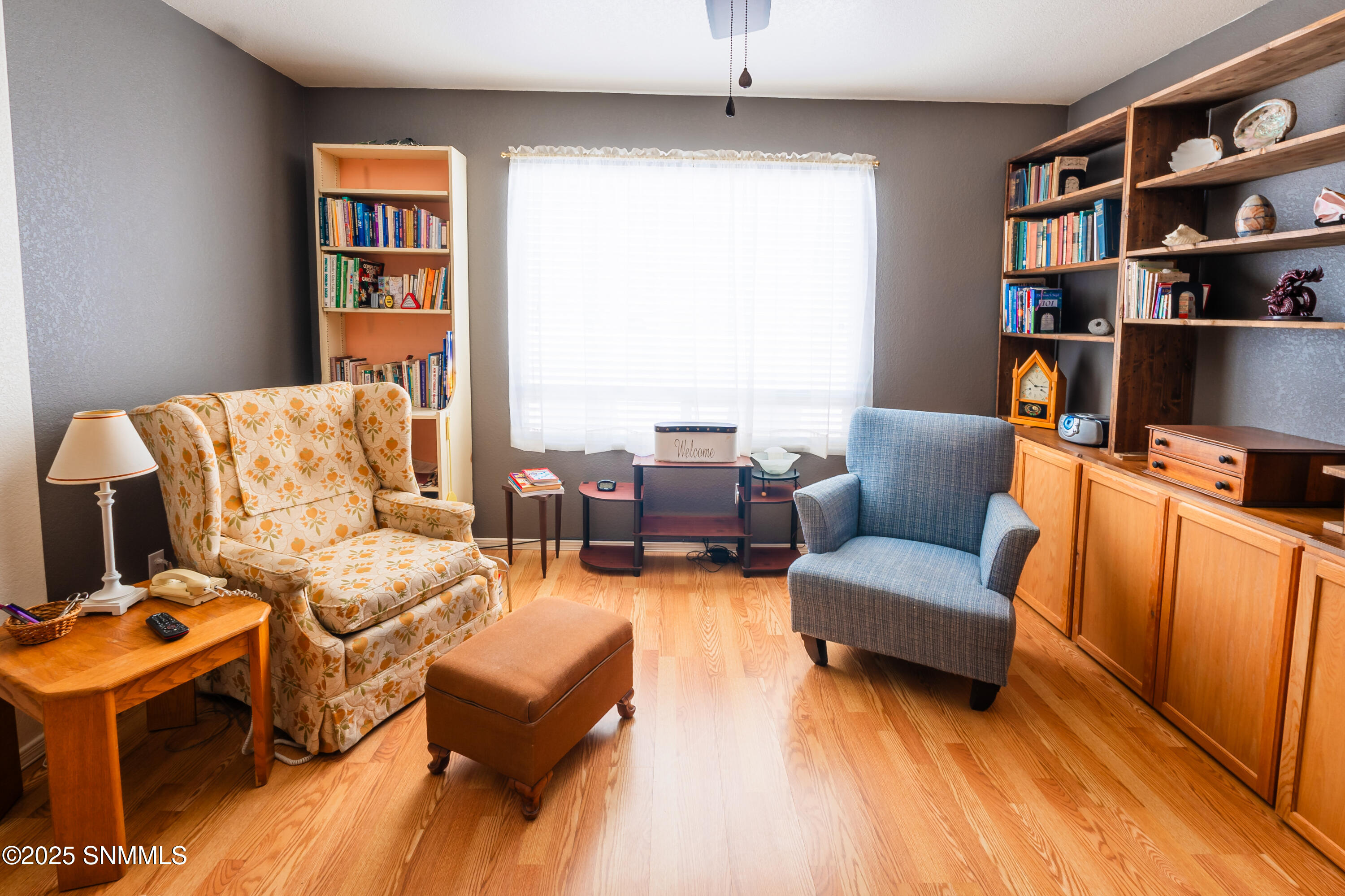 3544 Roma Drive, Las Cruces, New Mexico image 5