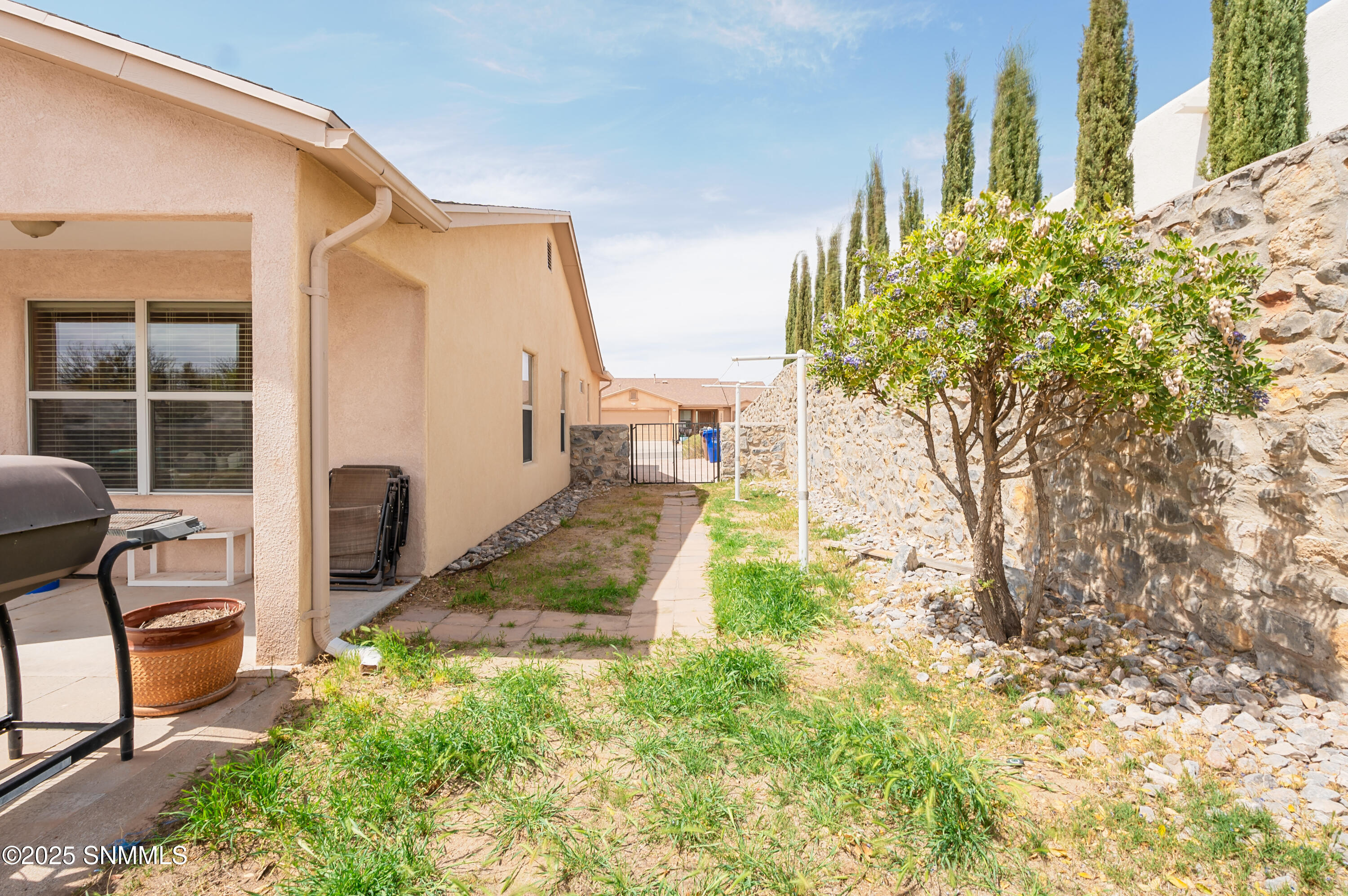 3544 Roma Drive, Las Cruces, New Mexico image 41