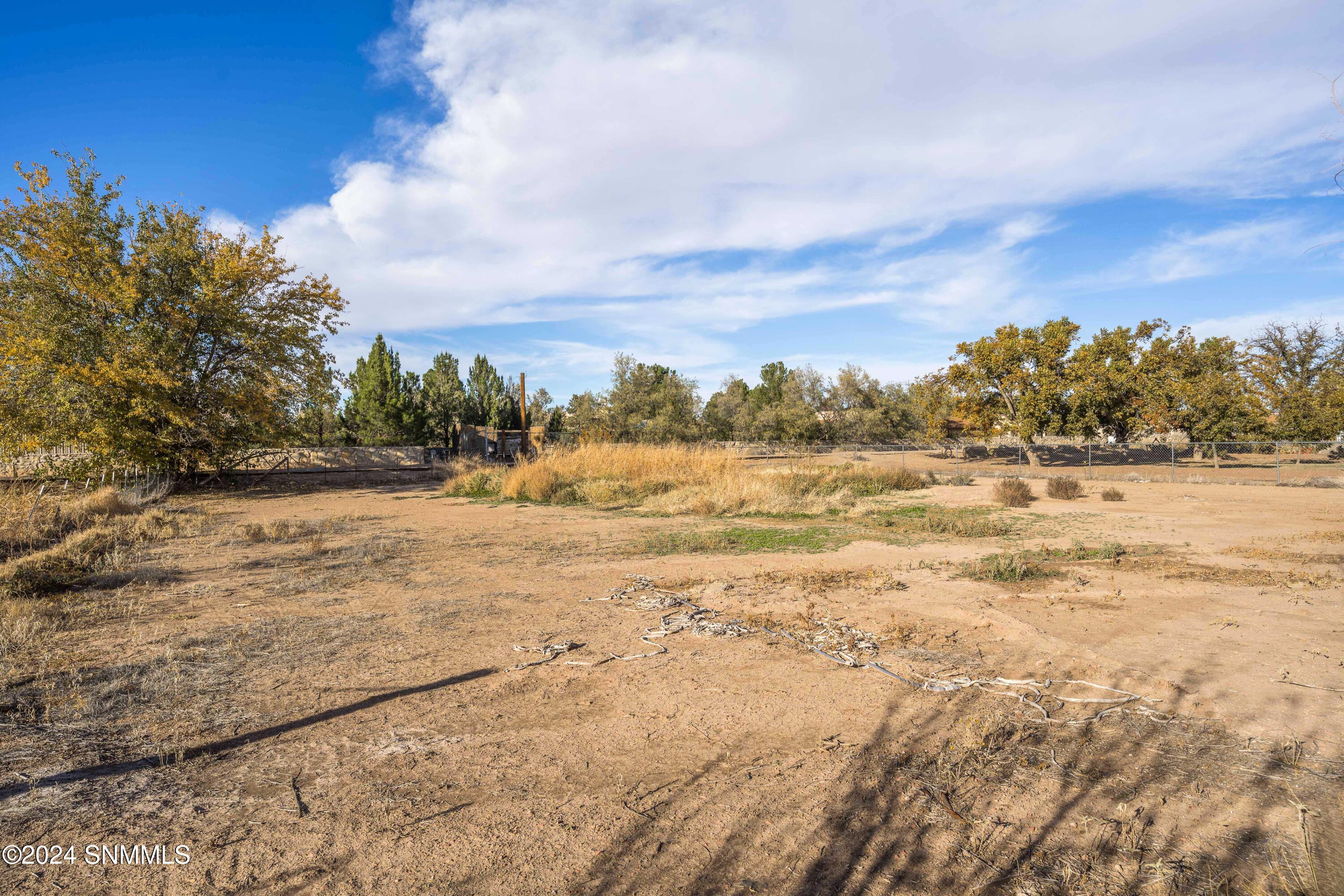 2703 Santa Clara Lane, Las Cruces, New Mexico image 49