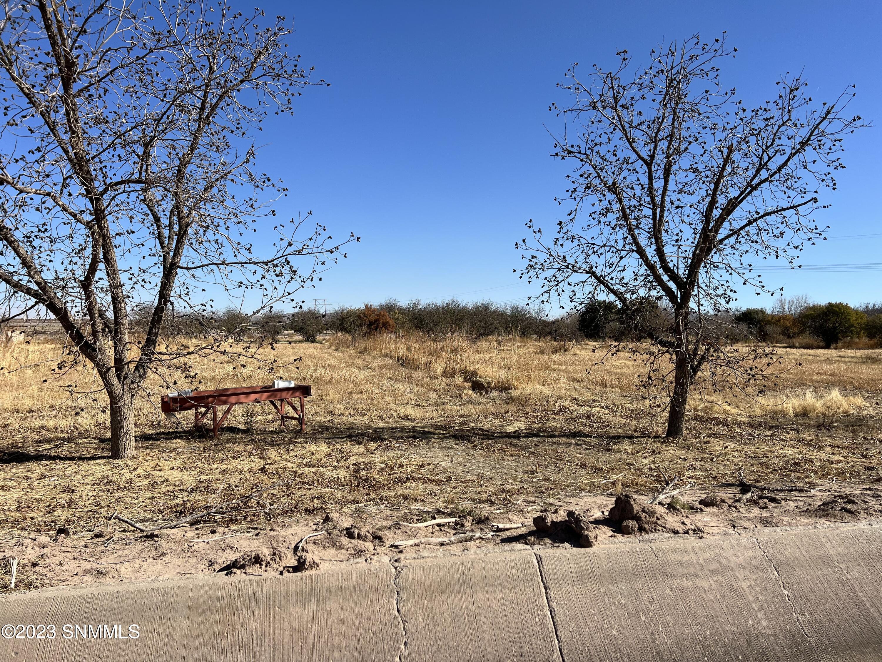 250 Mustang Street, Vado, New Mexico image 5