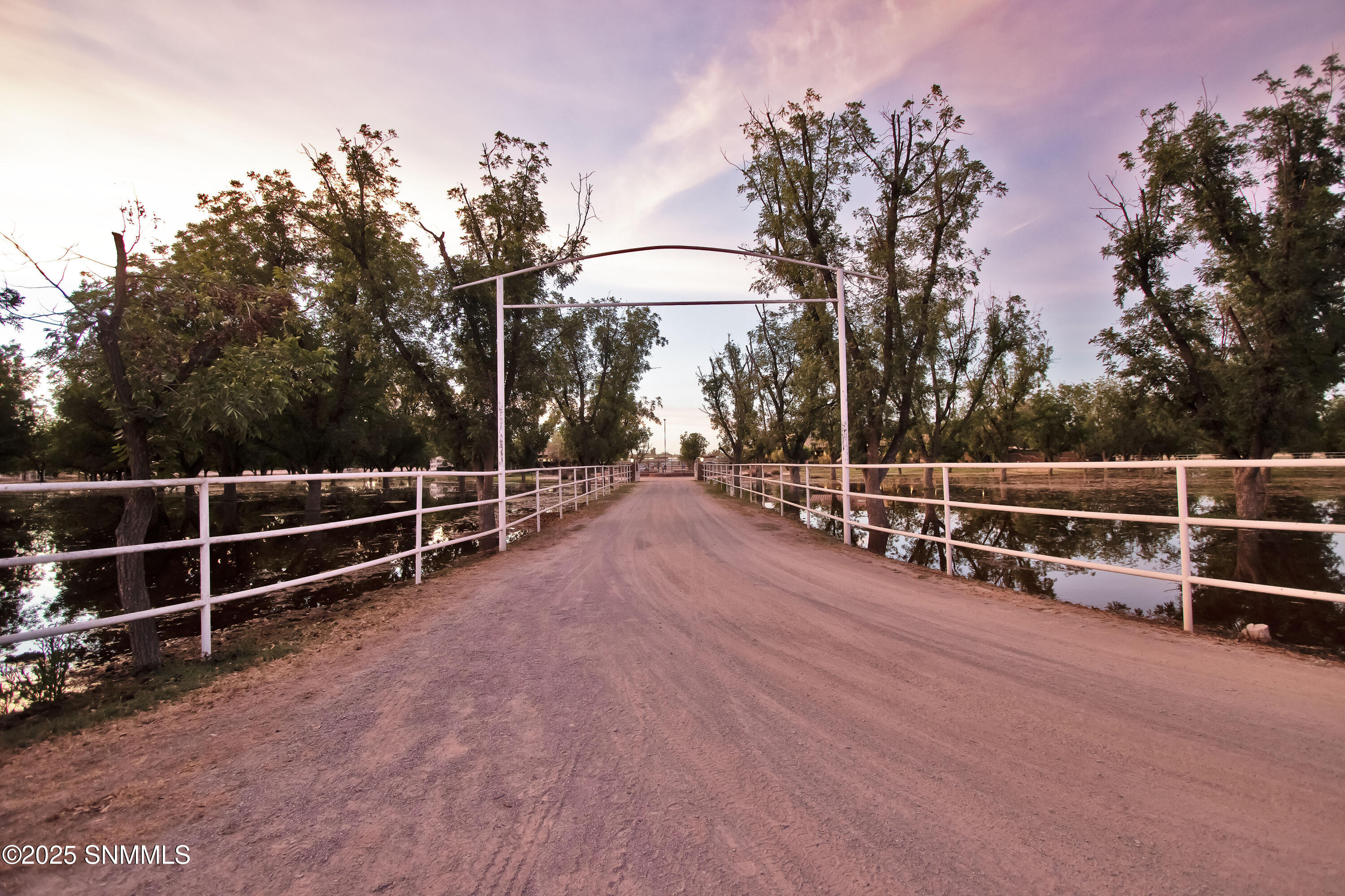 7003 Mcnutt Road, Anthony, New Mexico image 5