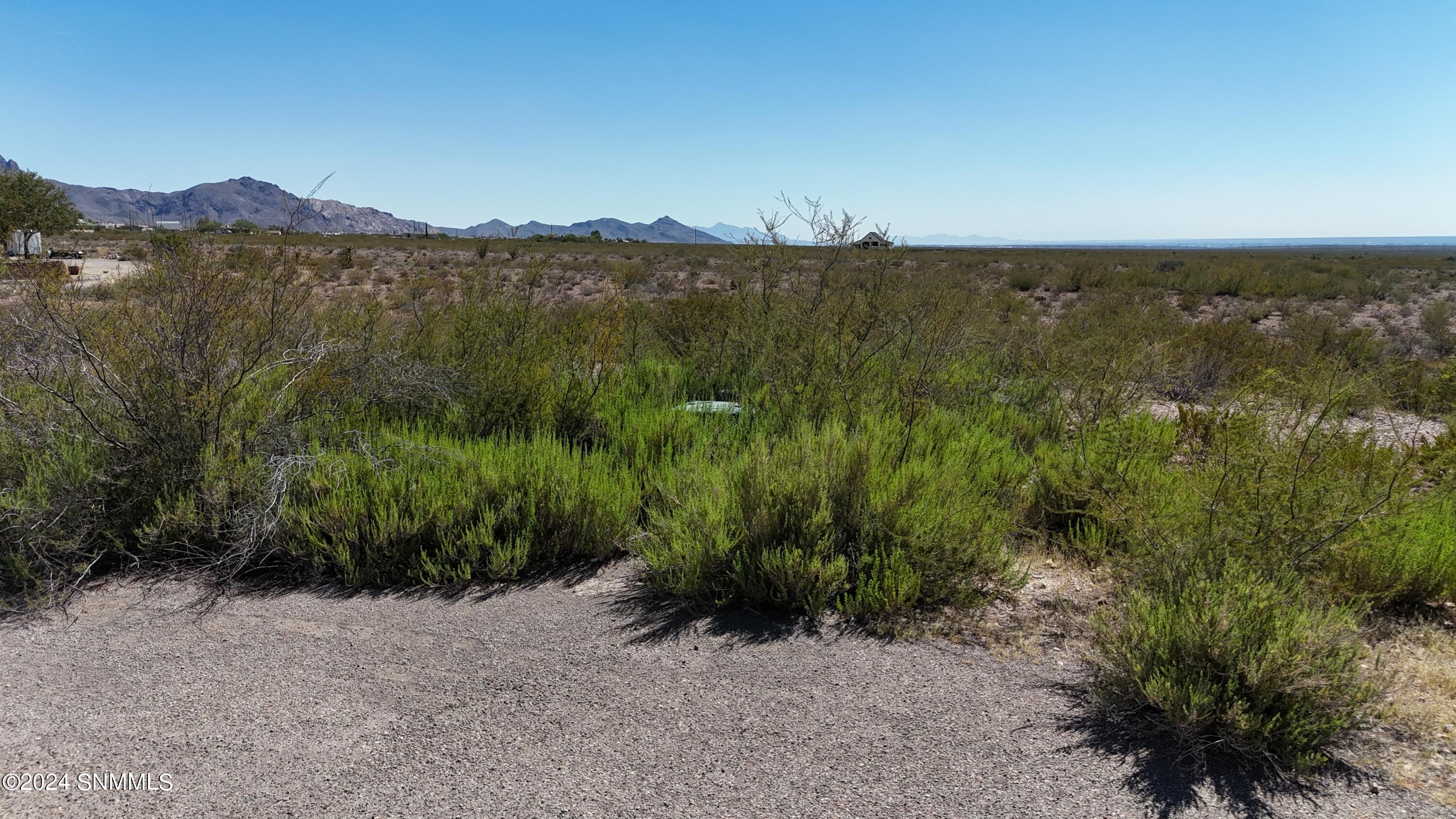 5085 Camino Leon Court, Las Cruces, New Mexico image 4