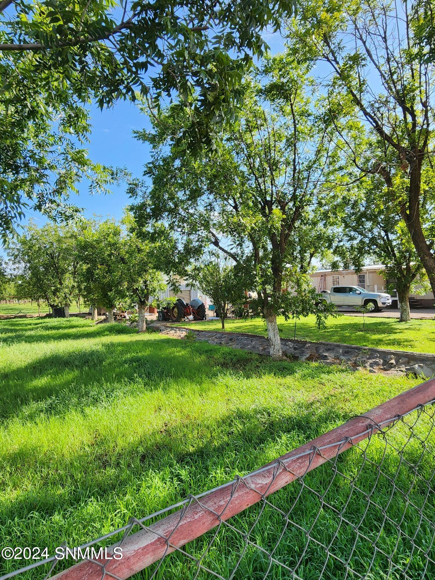 985 Yucca Road, Mesilla Park, New Mexico image 7