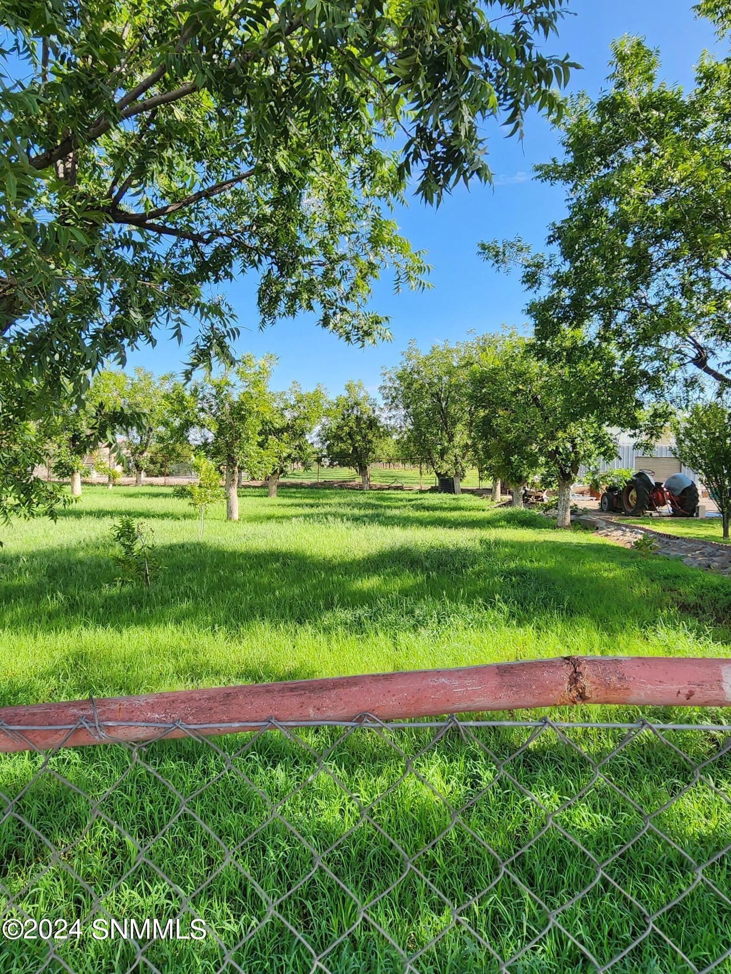 985 Yucca Road, Mesilla Park, New Mexico image 6