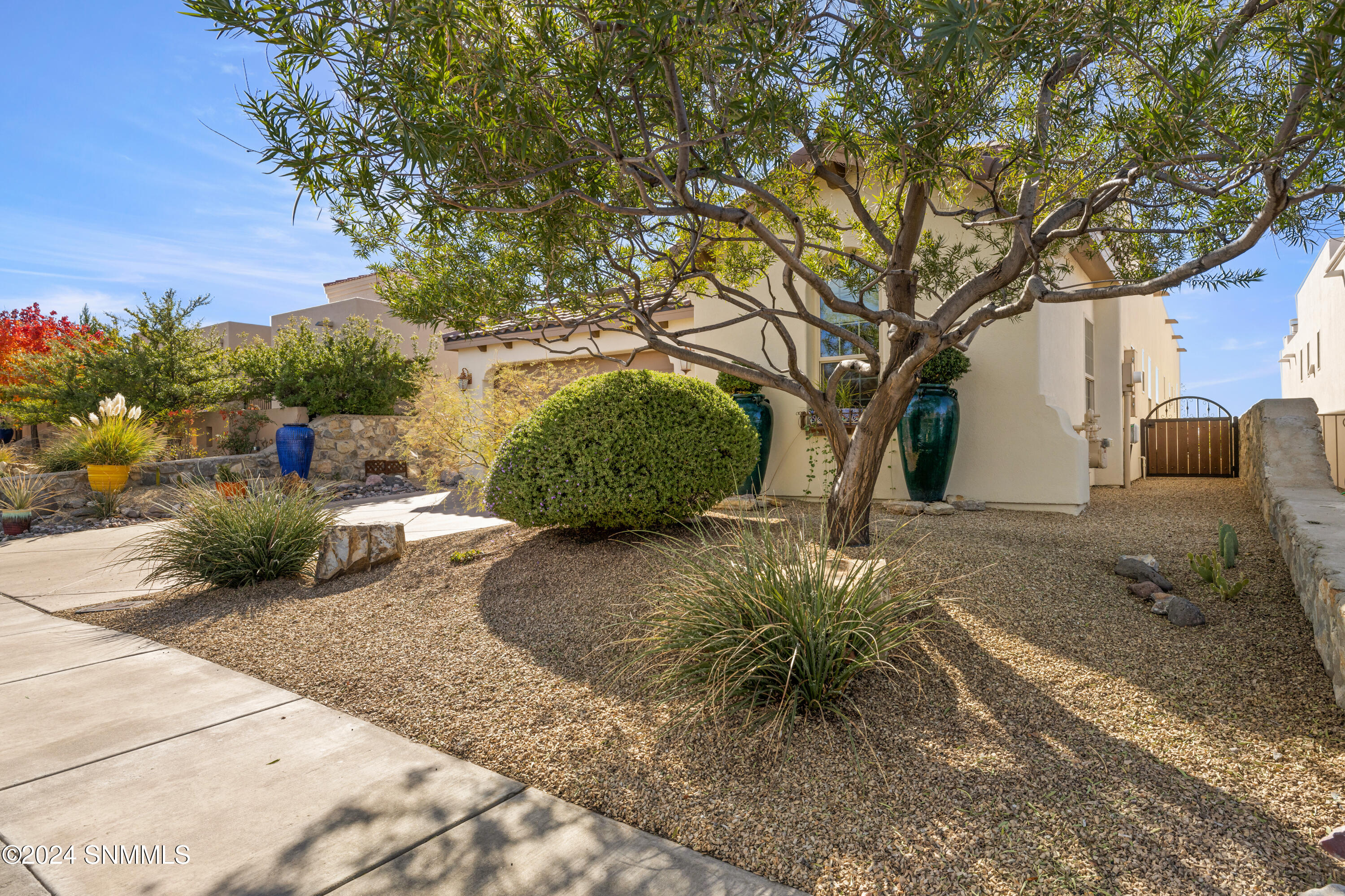 3666 Reflections Lane, Las Cruces, New Mexico image 7