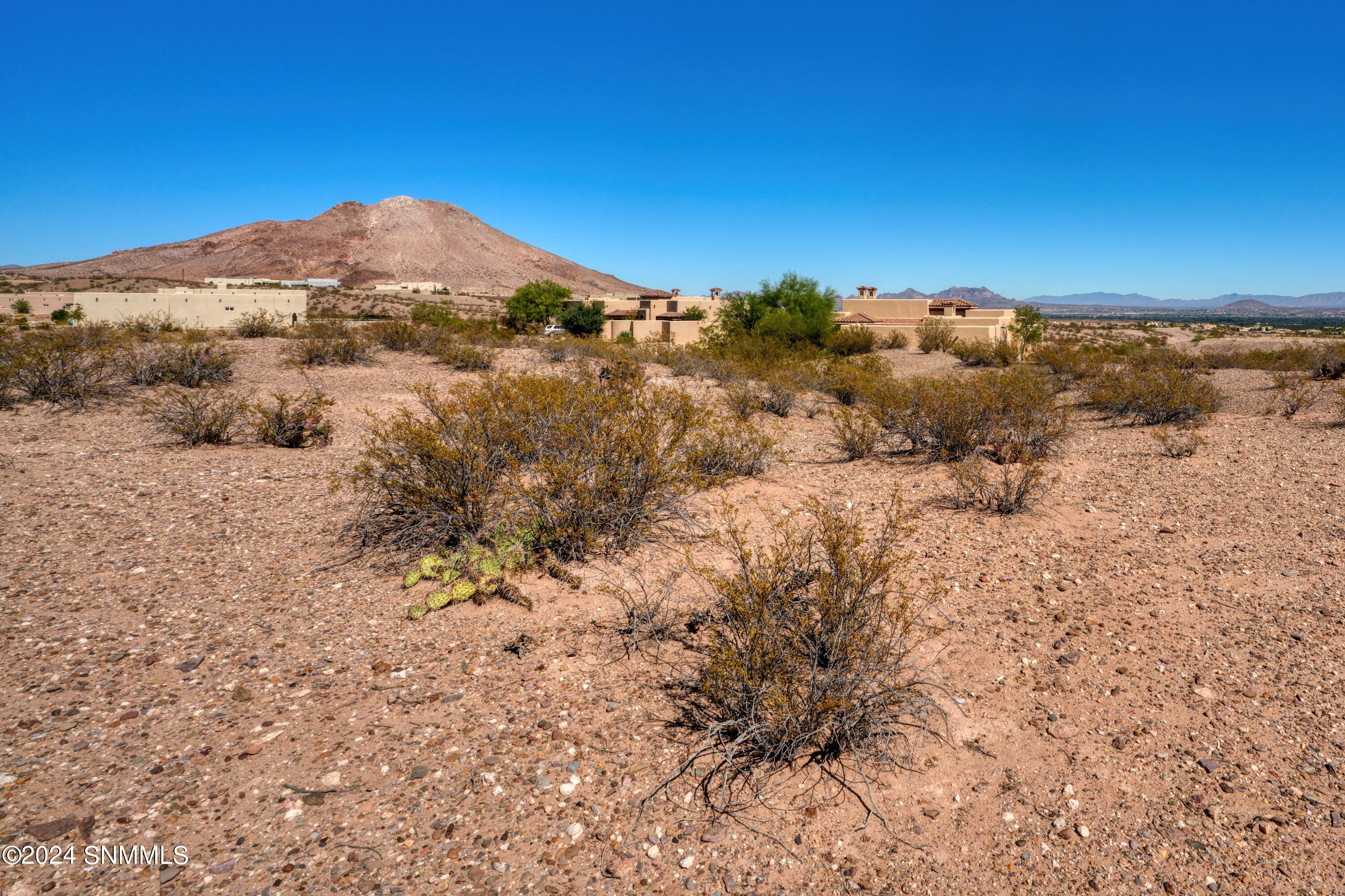 7009 Calle Arcos, Las Cruces, New Mexico image 8