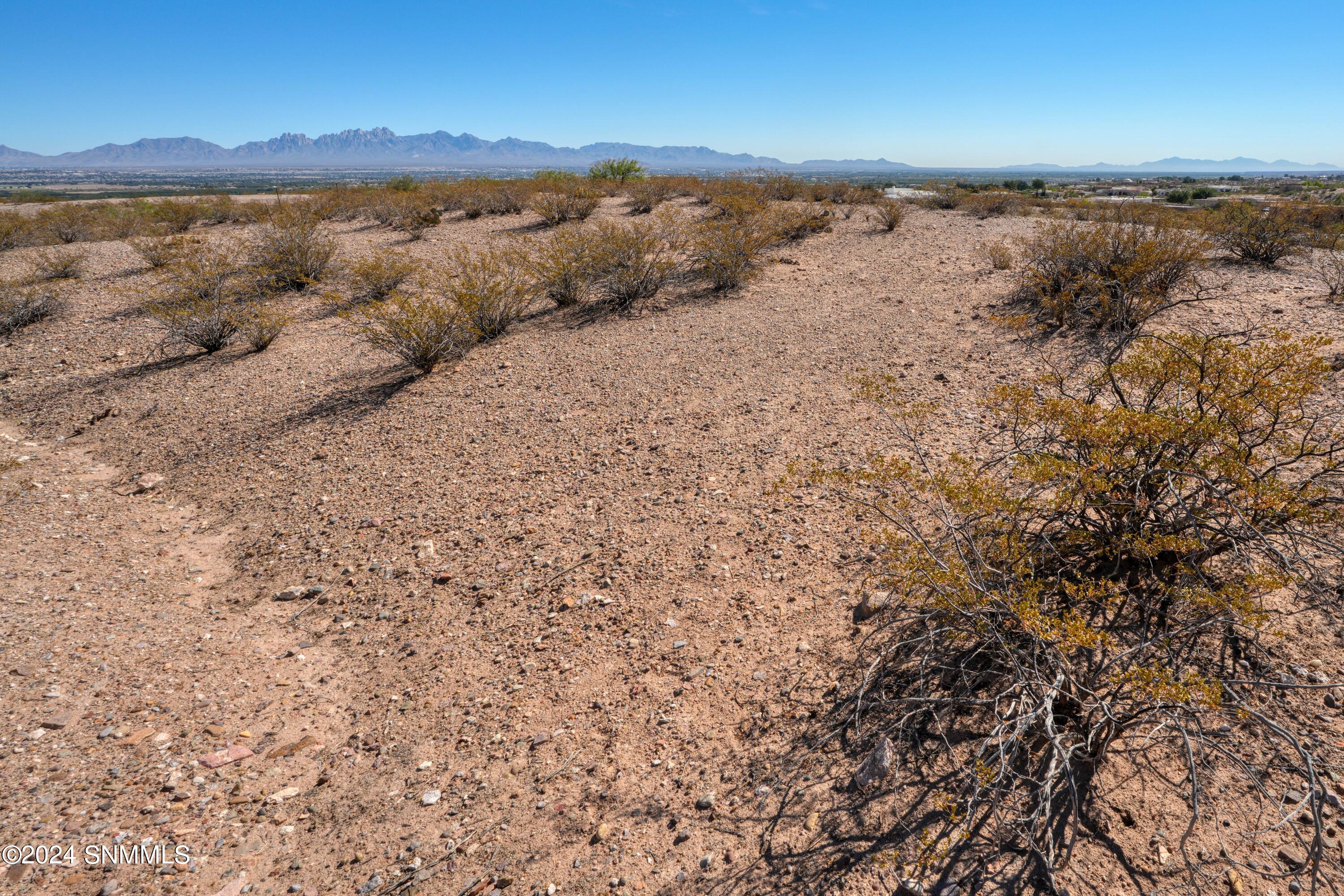 7009 Calle Arcos, Las Cruces, New Mexico image 9