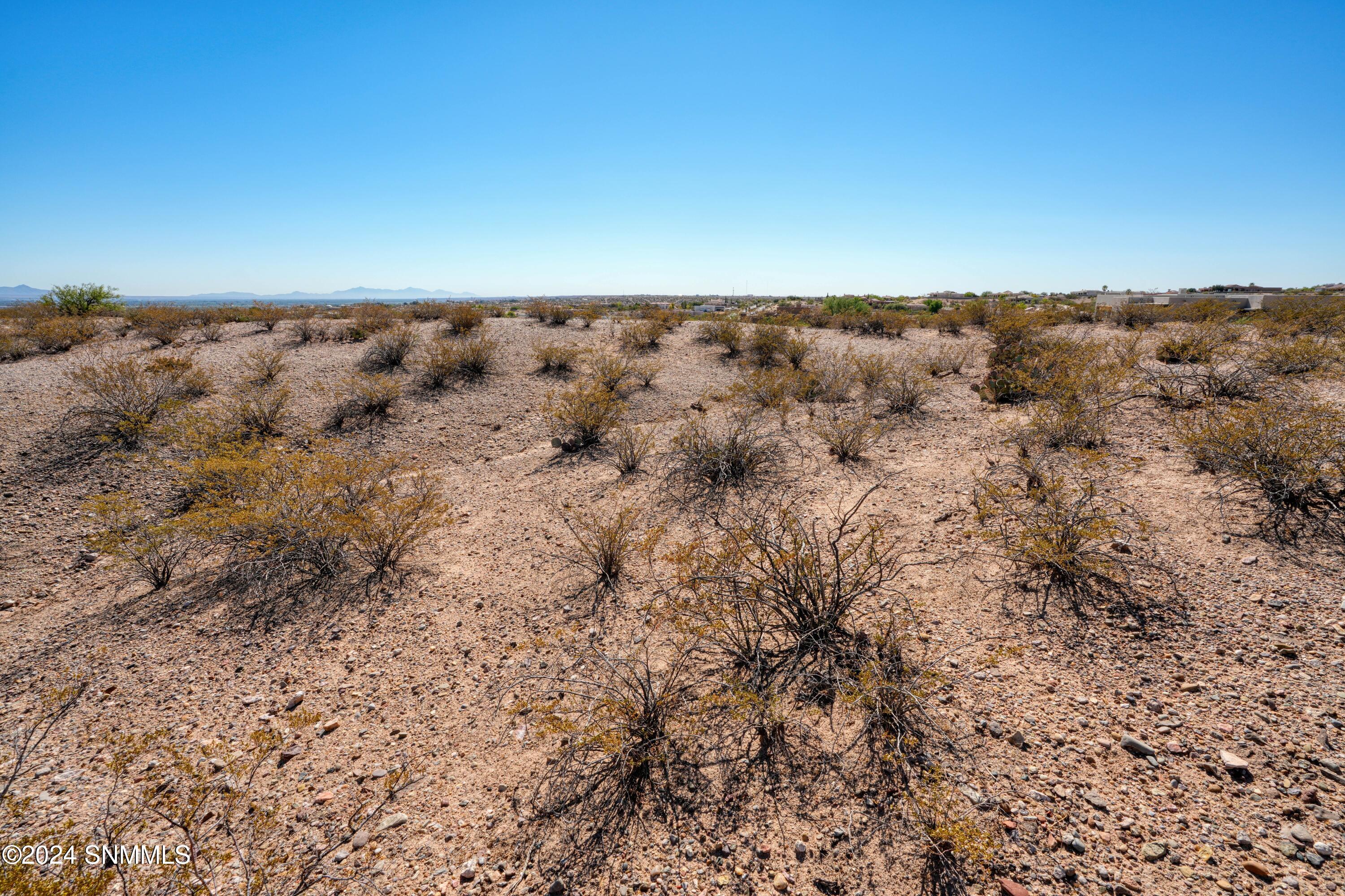 7009 Calle Arcos, Las Cruces, New Mexico image 10