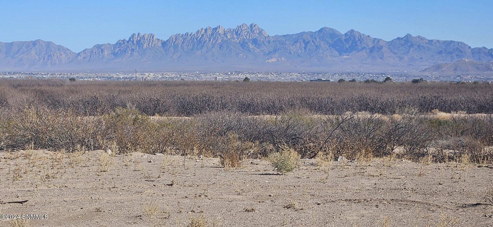 410 Clark Lane, Las Cruces, New Mexico image 4