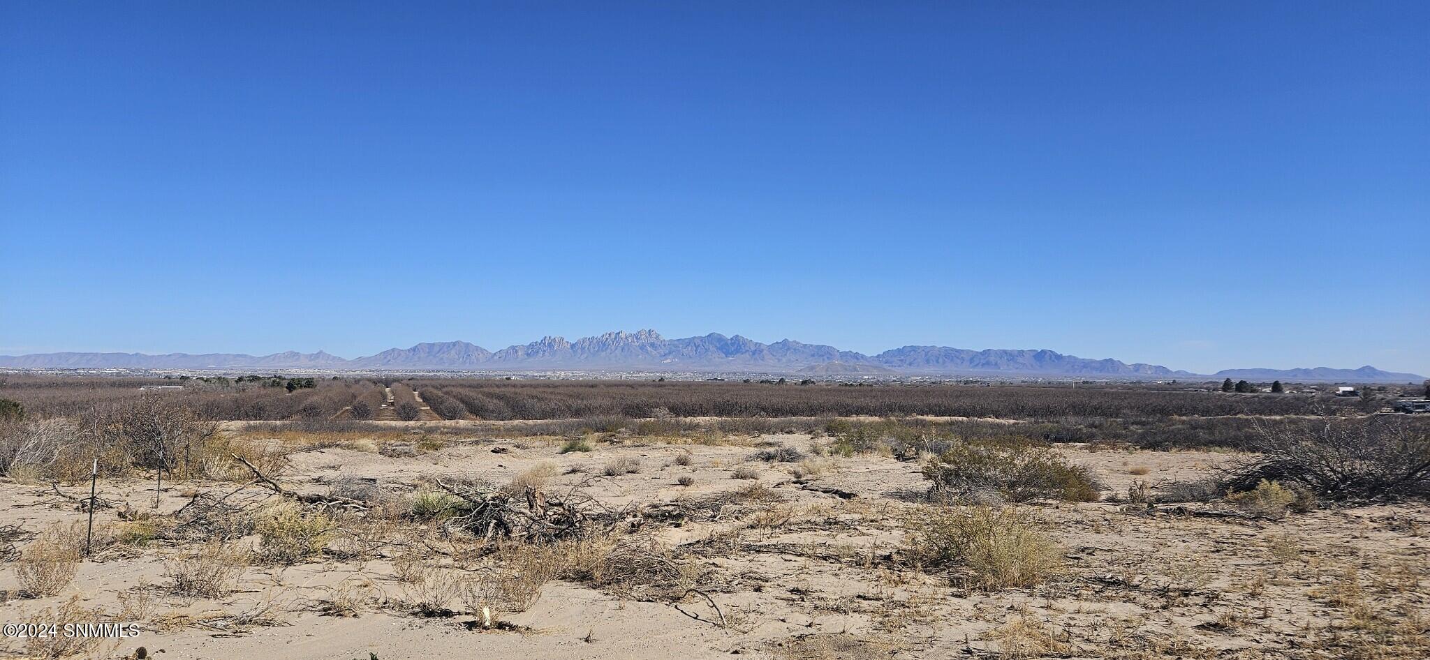 410 Clark Lane, Las Cruces, New Mexico image 8