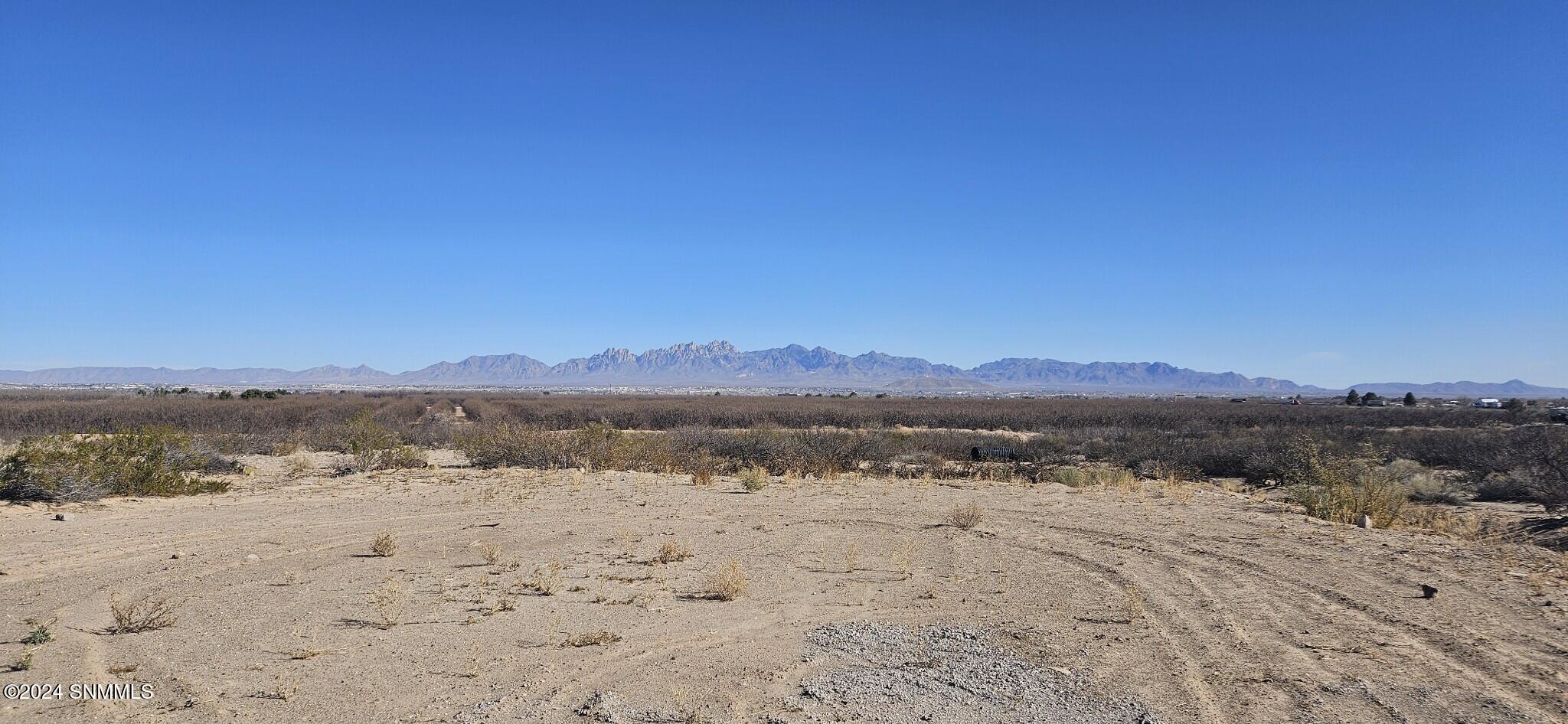 410 Clark Lane, Las Cruces, New Mexico image 6