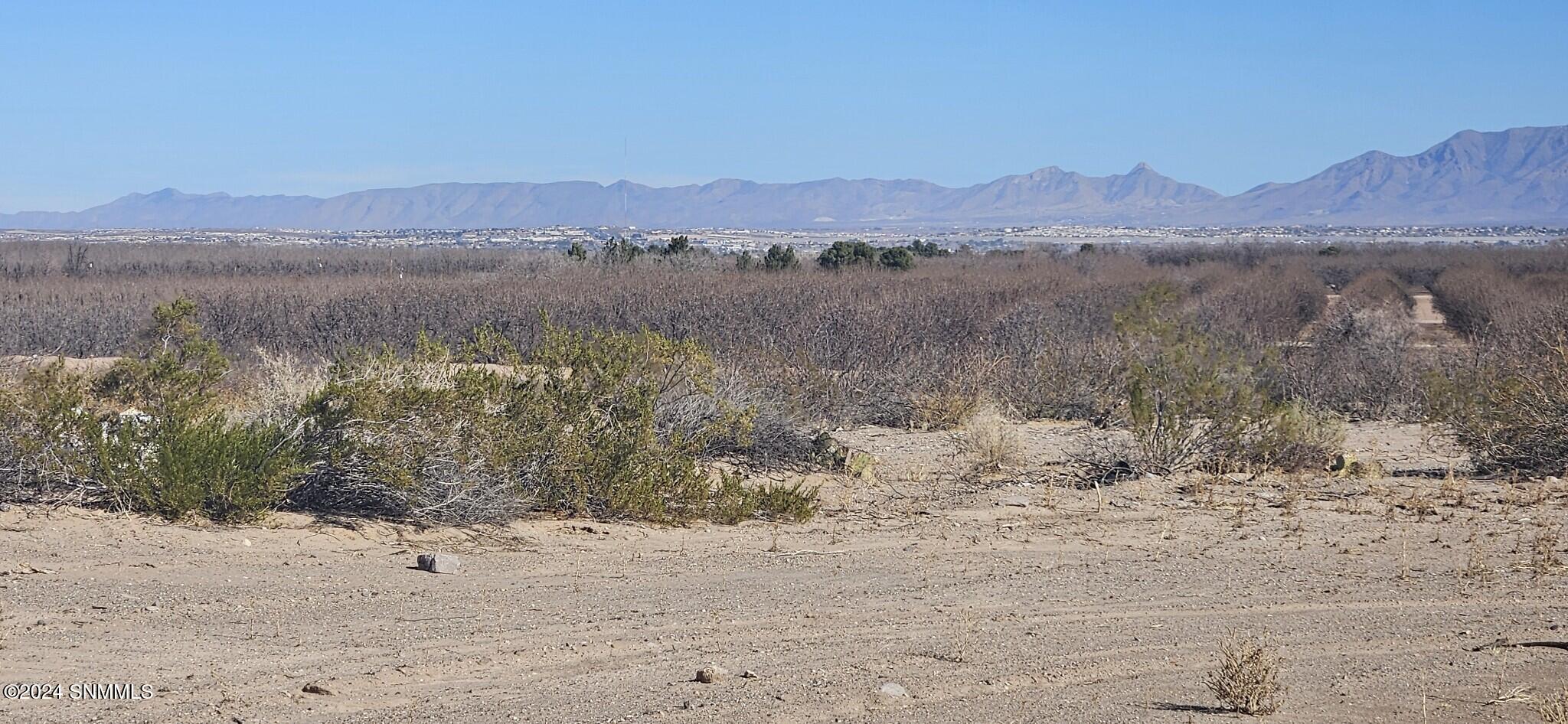 410 Clark Lane, Las Cruces, New Mexico image 3