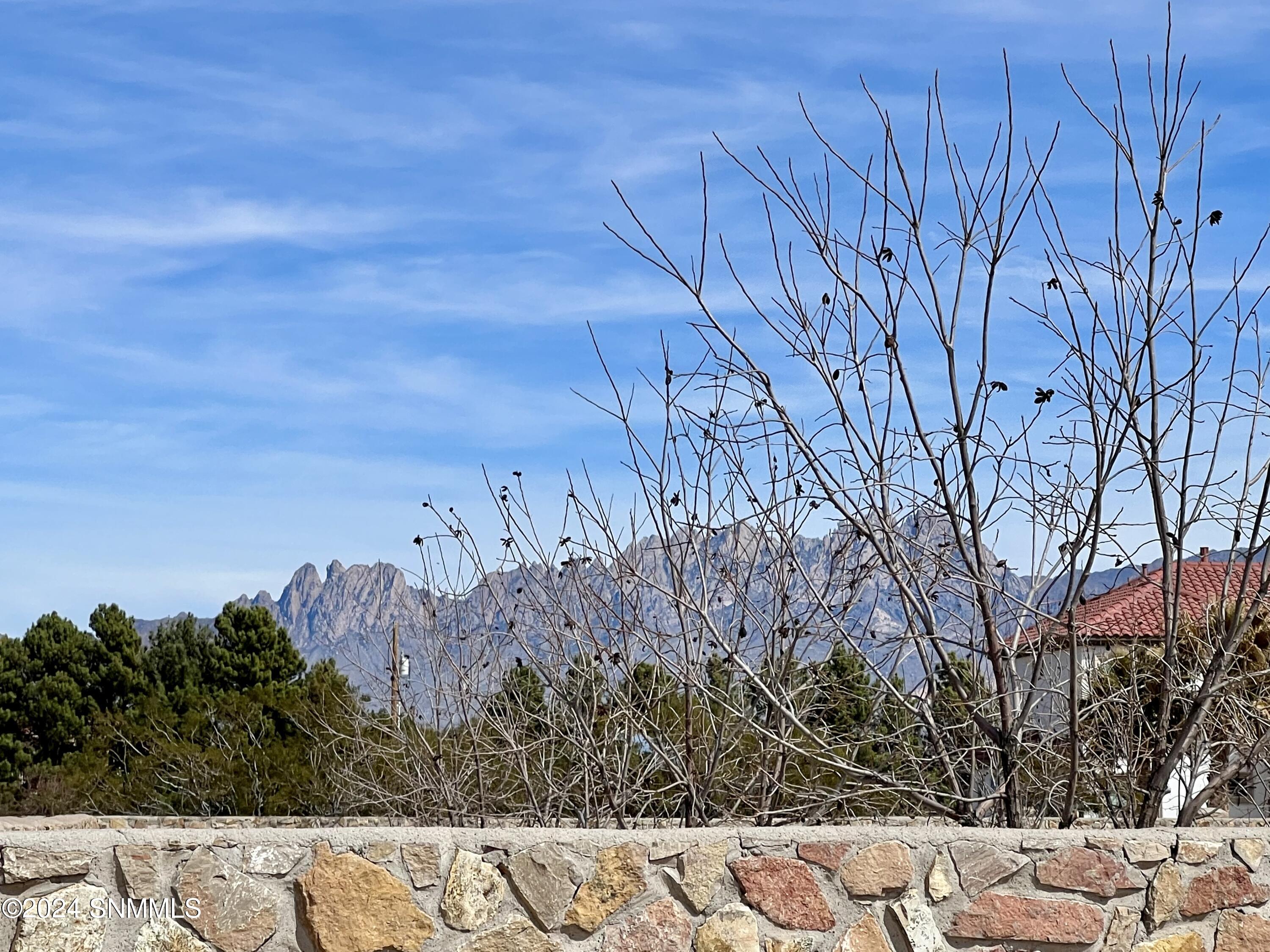 1240 Rosita Court, Mesilla, New Mexico image 3