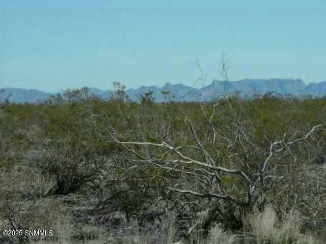 21 Calle De Ranchos Road, Williamsburg, New Mexico image 5