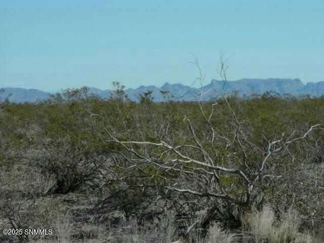 21 Calle De Ranchos Road, Williamsburg, New Mexico image 1