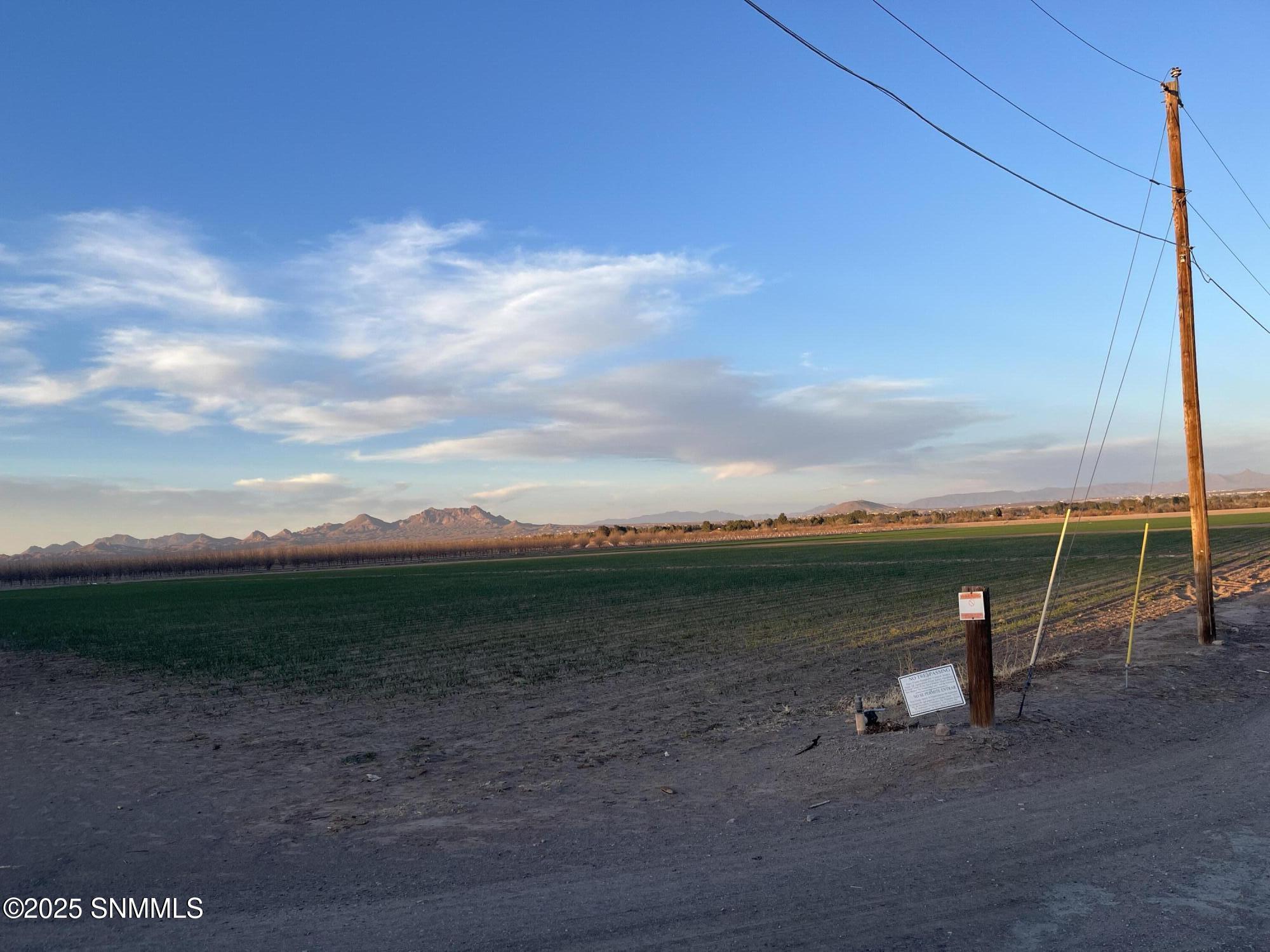 4330 Shalem Colony Trl, Las Cruces, New Mexico image 3