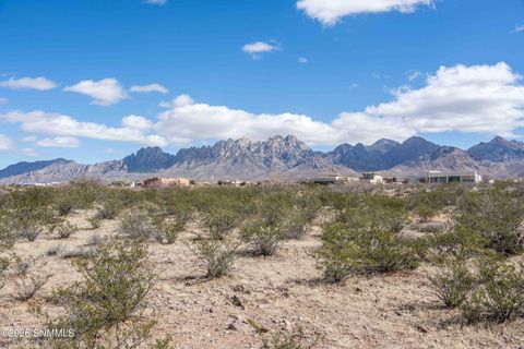 Vacant Land For Sale - 7901 Dripping Springs Road<br/> Dona Ana County, Las Cruces, NM 88011