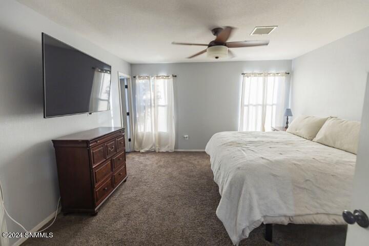 3818 Lamanite Court, Las Cruces, New Mexico image 24