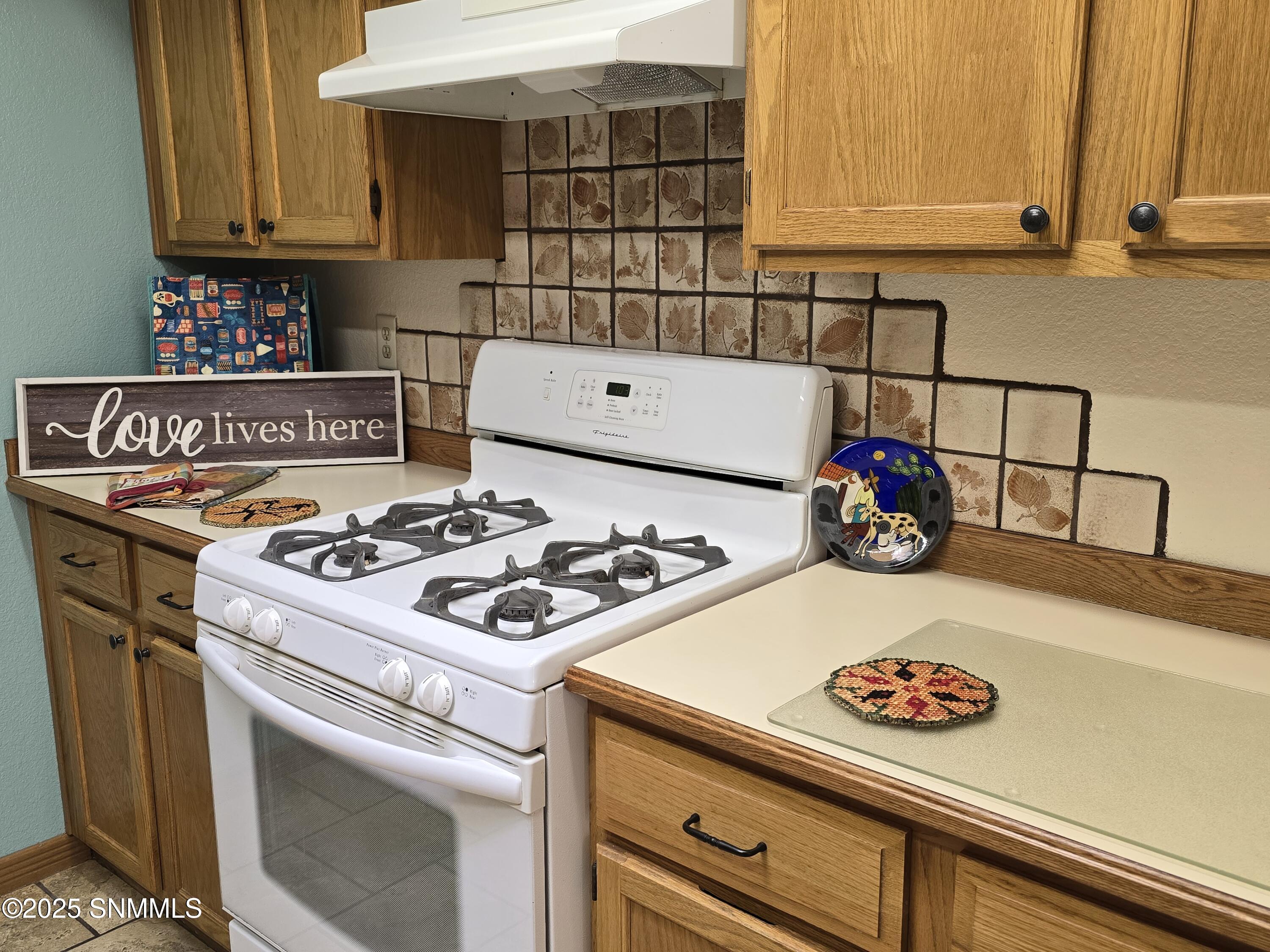 651 Rouault Avenue, Las Cruces, New Mexico image 7