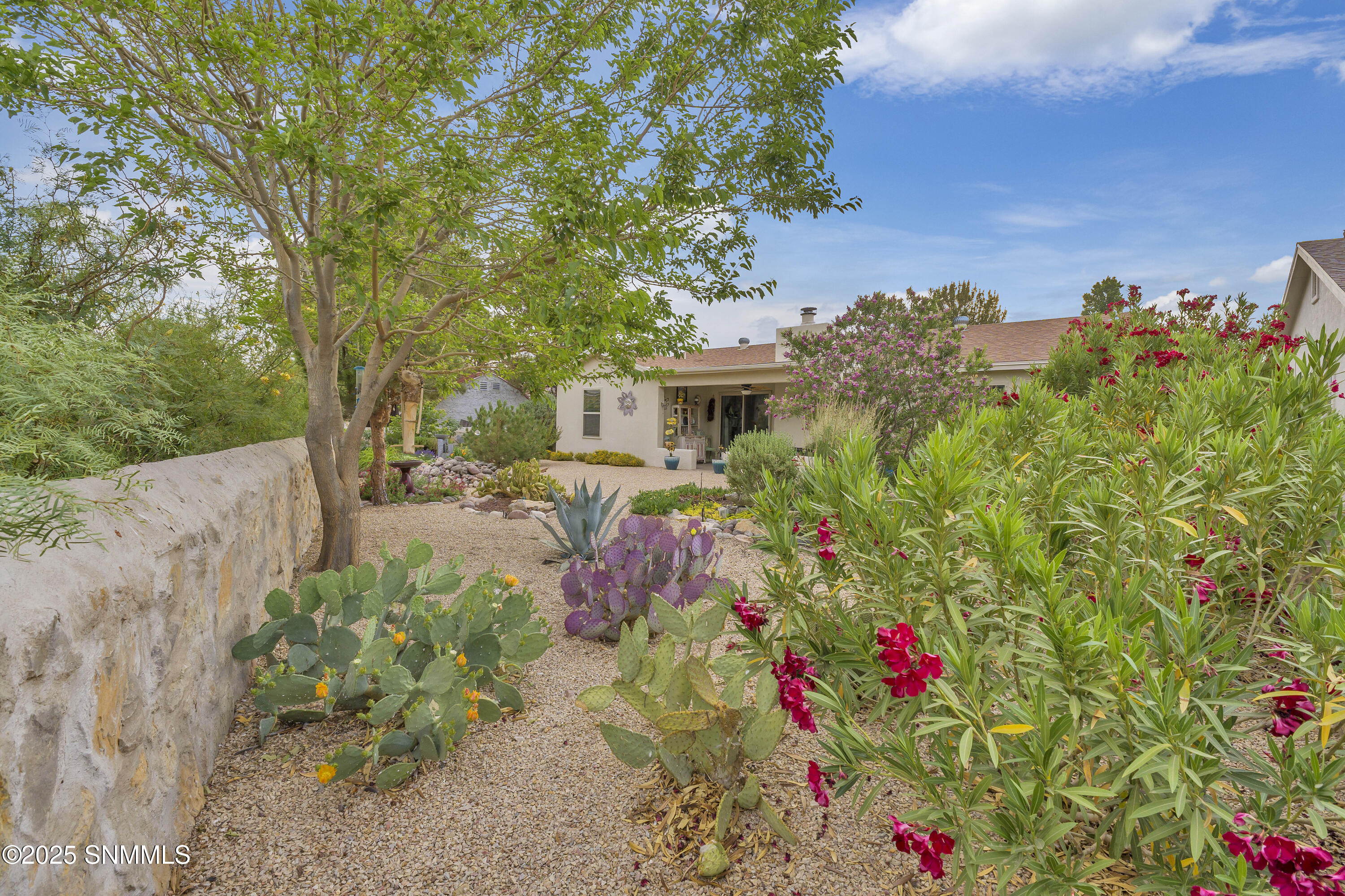 4938 Arena Drive, Las Cruces, New Mexico image 29