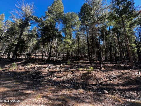 Vacant Land For Sale - 42 Forest View Road<br/> Cloudcroft, NM 88317