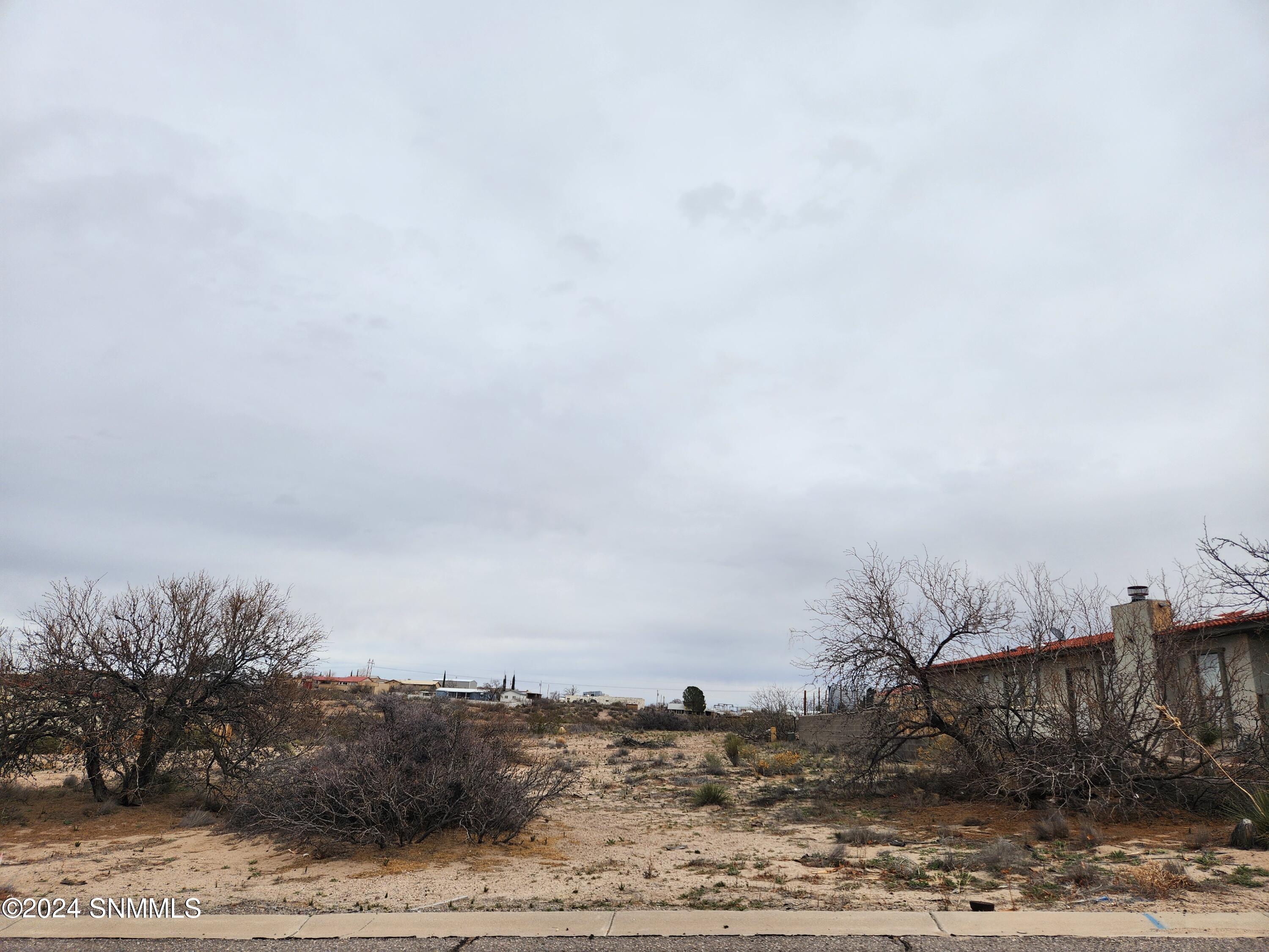 607 Organ Avenue, Elephant Butte, New Mexico image 1