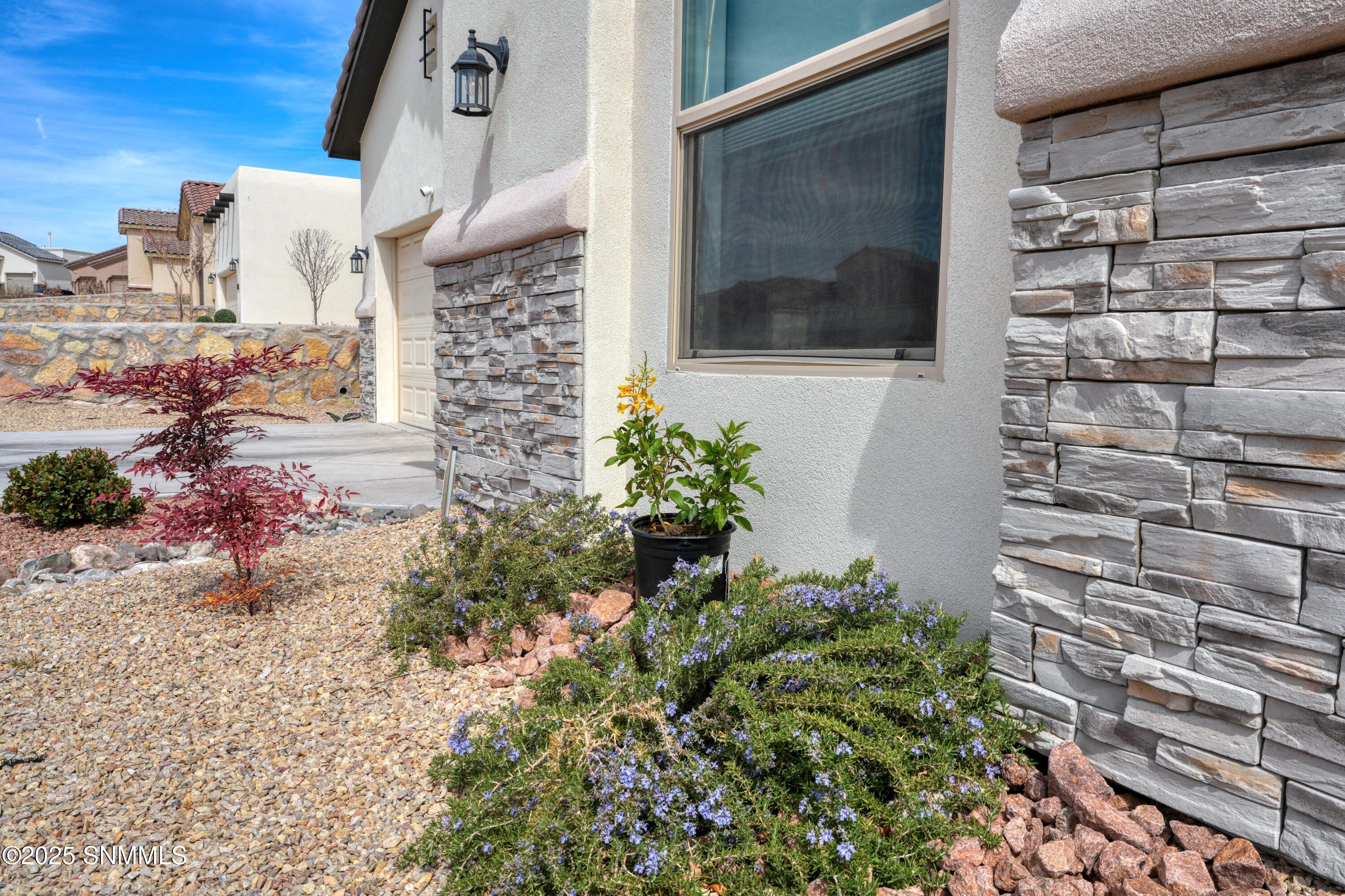 4241 Arcadia Point Pt, Las Cruces, New Mexico image 4