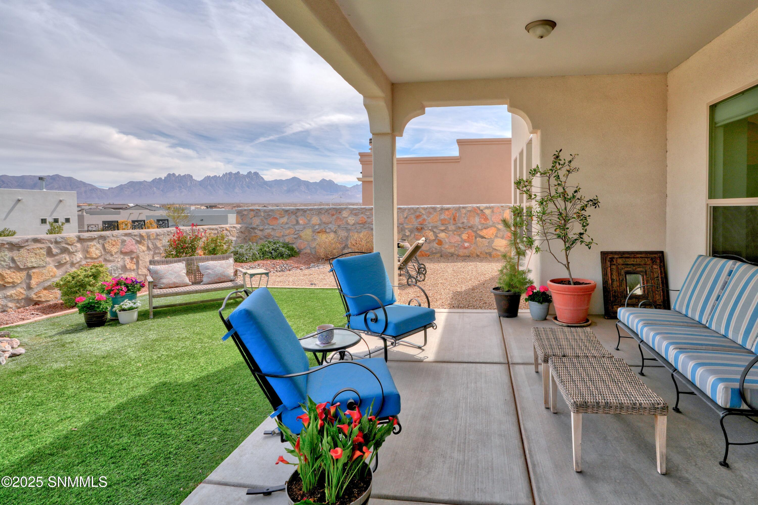 4241 Arcadia Point Pt, Las Cruces, New Mexico image 8