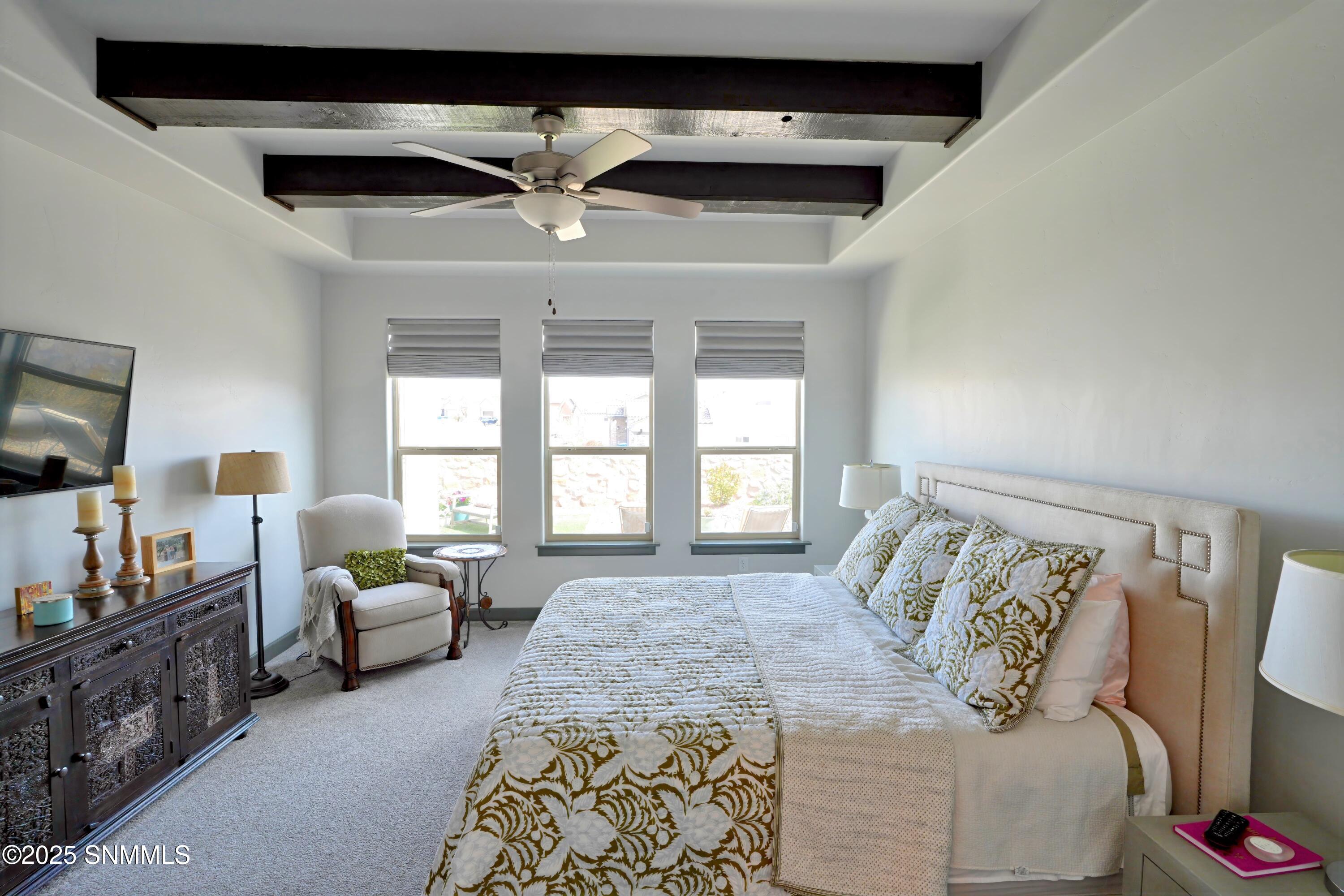 4241 Arcadia Point Pt, Las Cruces, New Mexico image 42