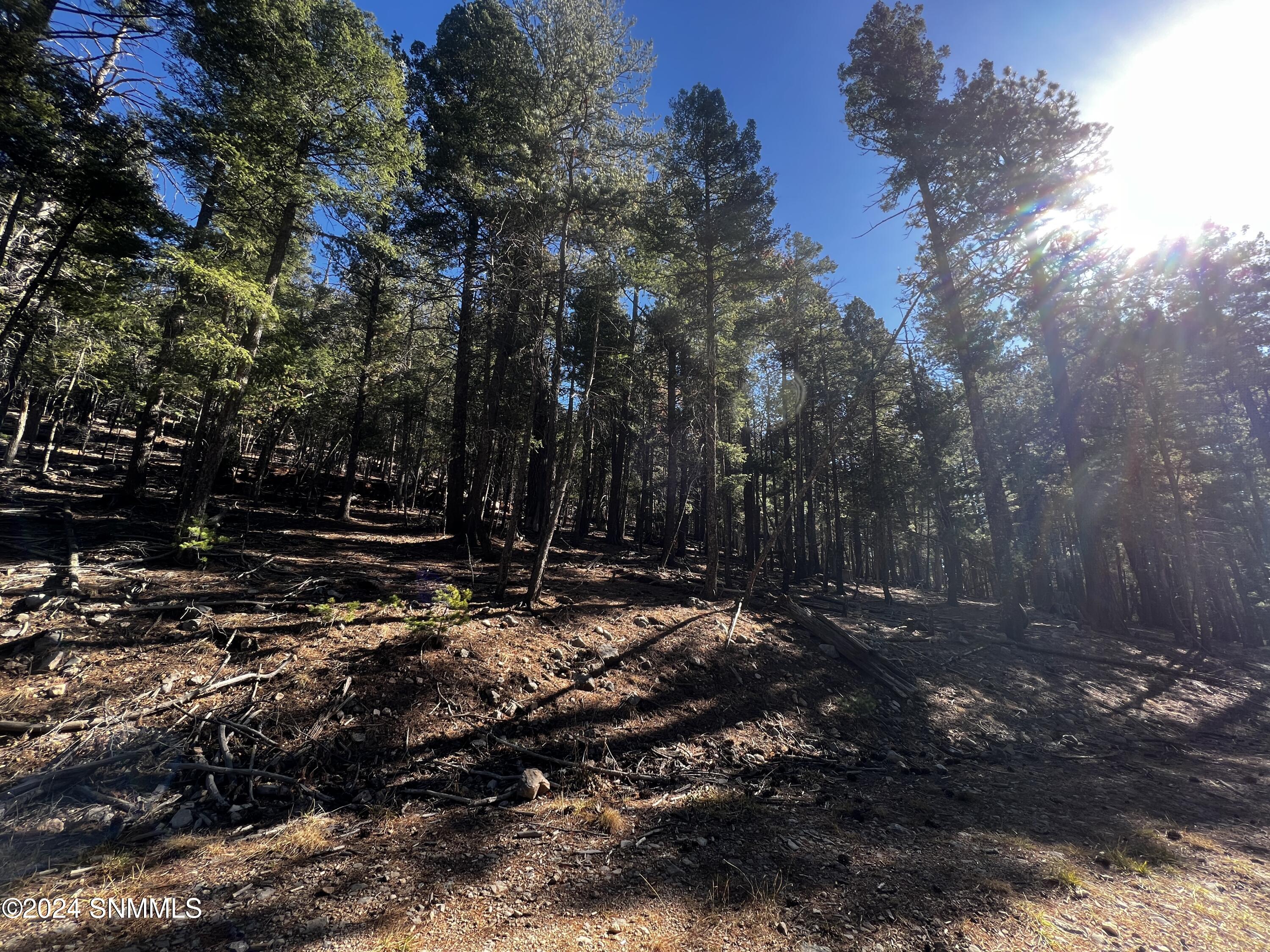 42 Forest View Dr., Cloudcroft, New Mexico image 2