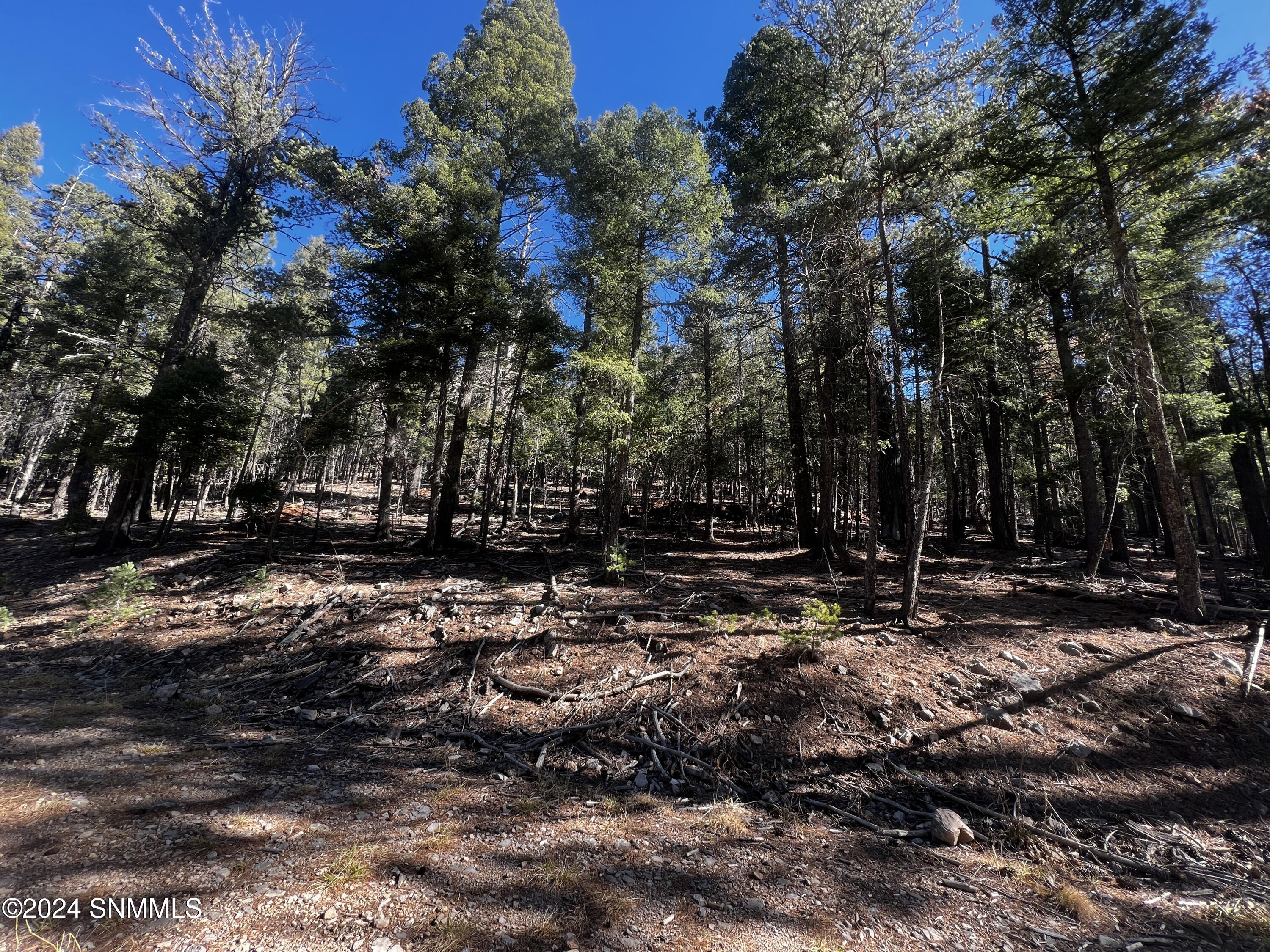 42 Forest View Dr., Cloudcroft, New Mexico image 1