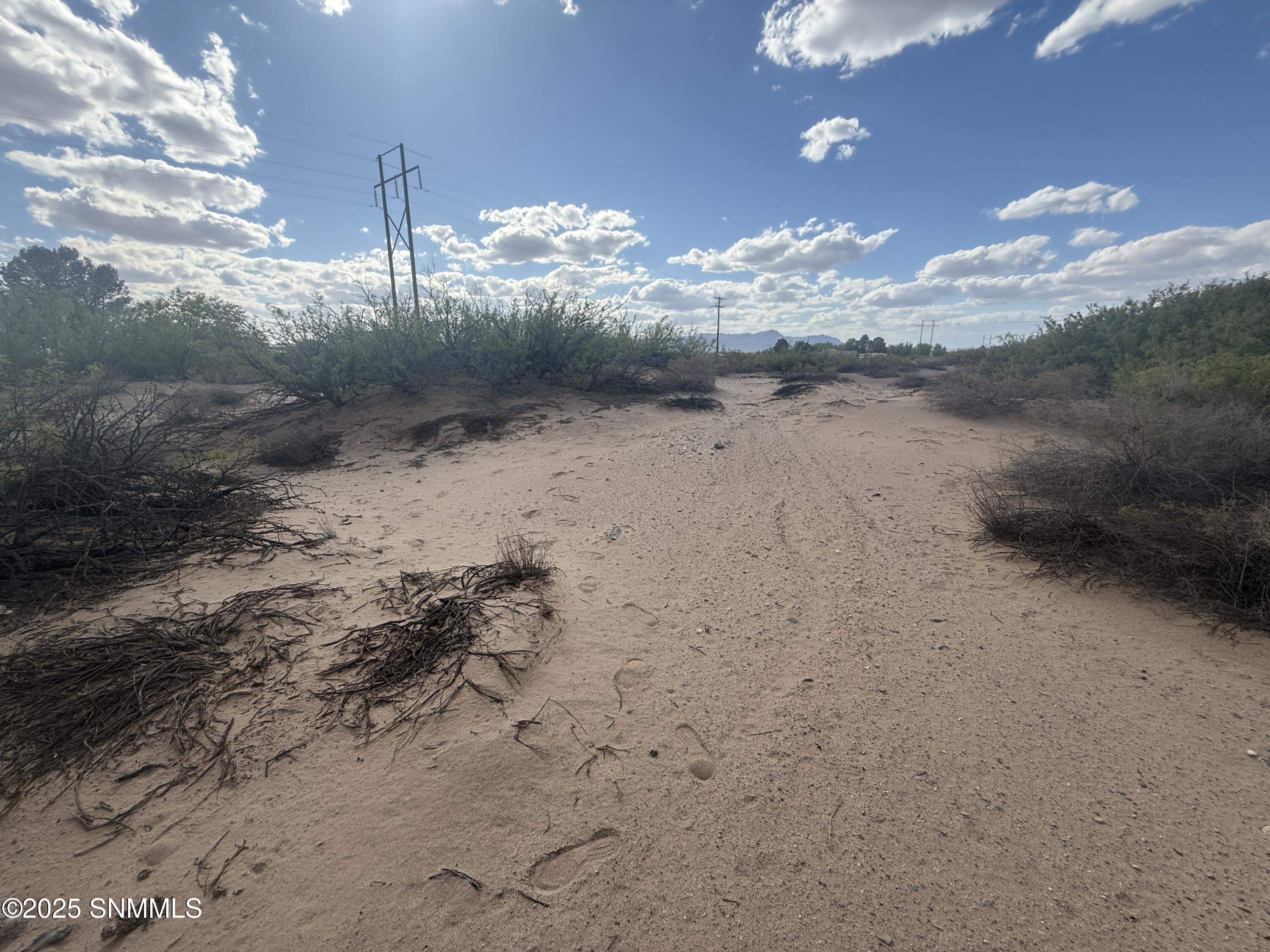 TBD Holliday, Las Cruces, New Mexico image 3