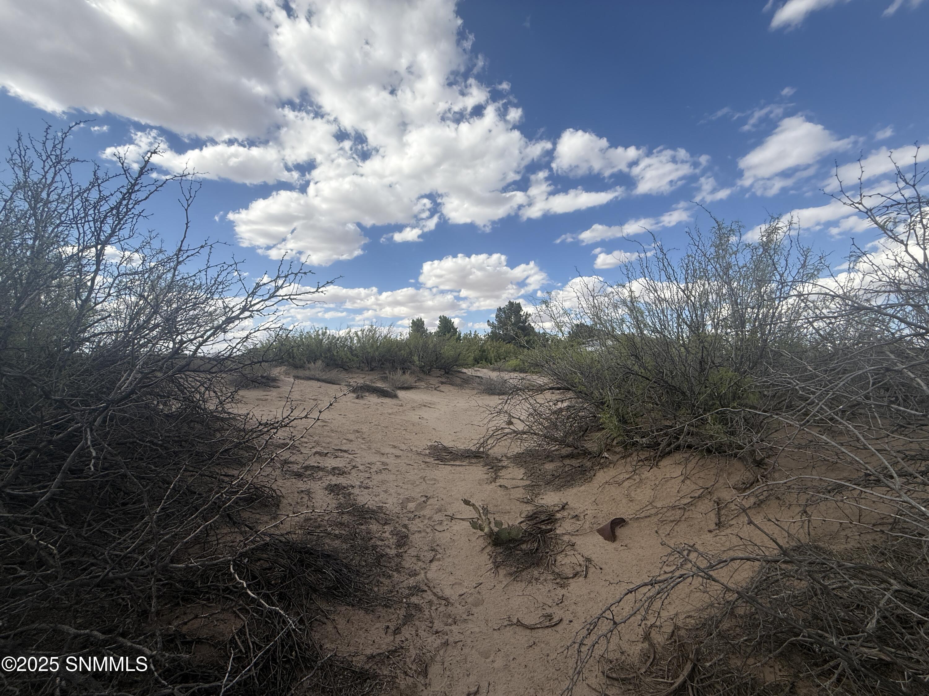 TBD Holliday, Las Cruces, New Mexico image 5