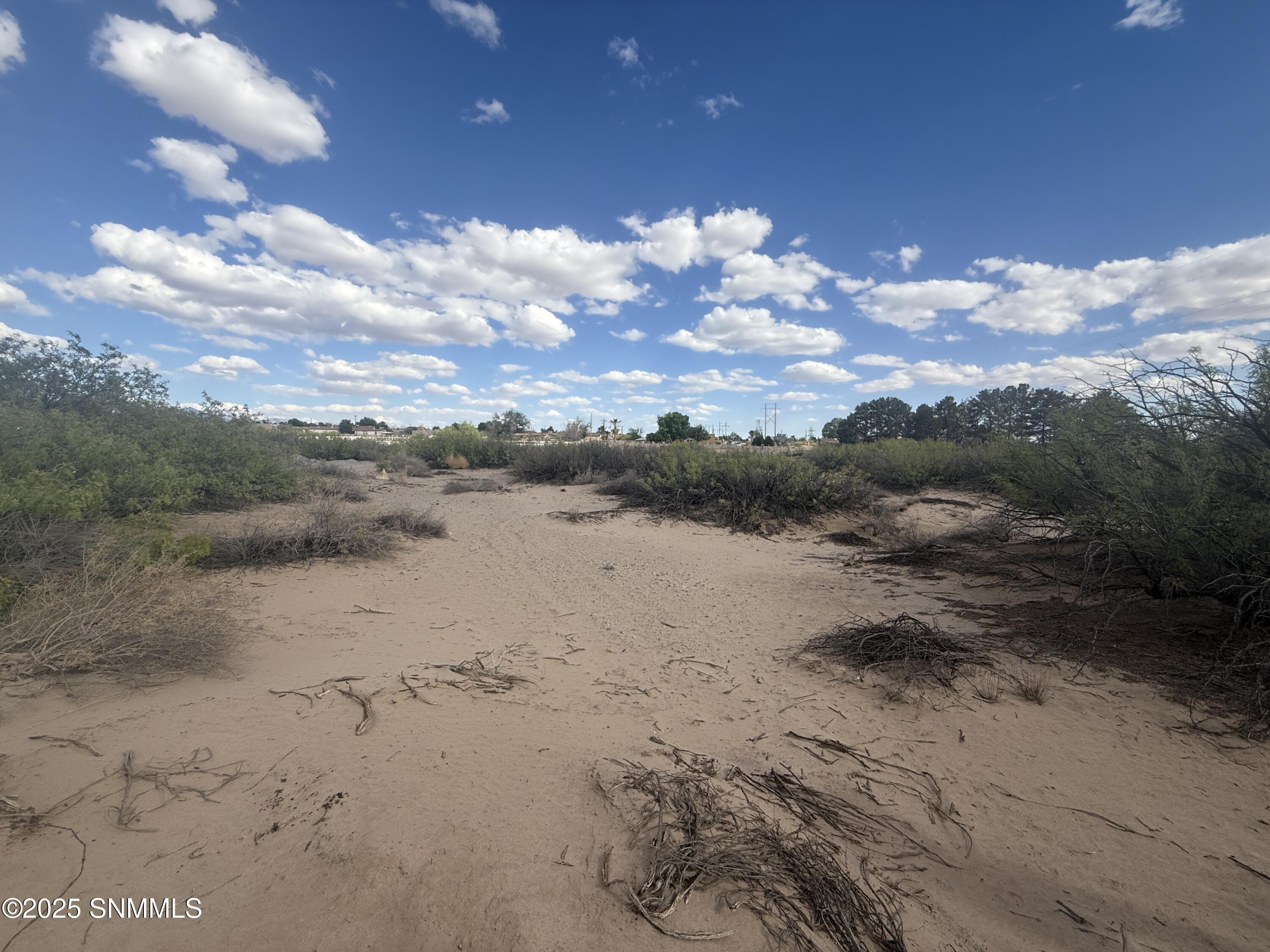TBD Holliday, Las Cruces, New Mexico image 2