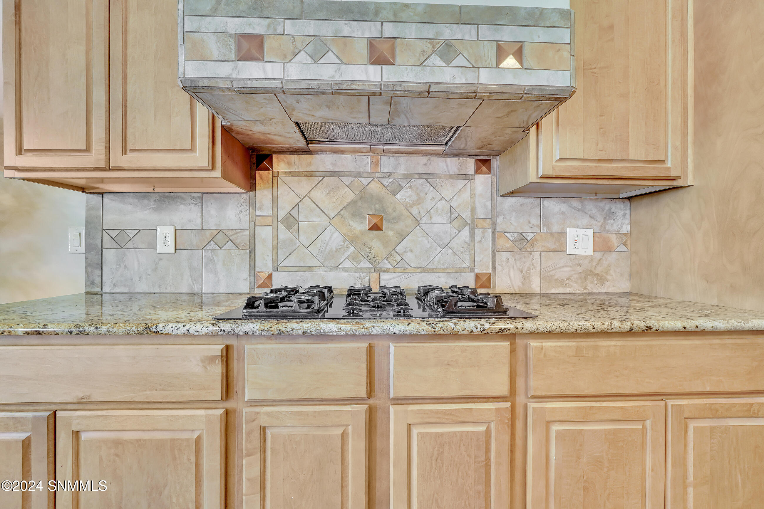 2029 San Patricio Loop, Las Cruces, New Mexico image 14