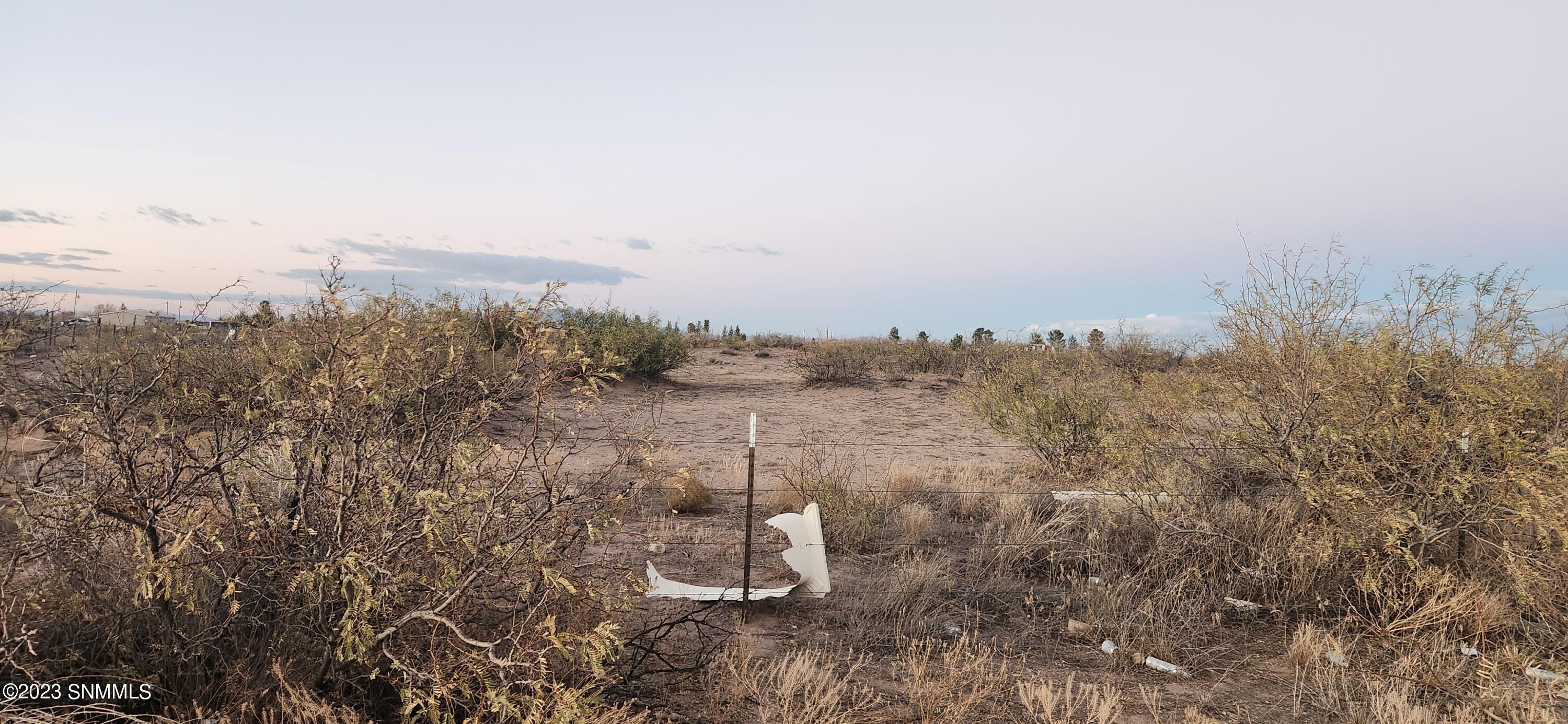 1163 SE Canto Road, Deming, New Mexico image 6